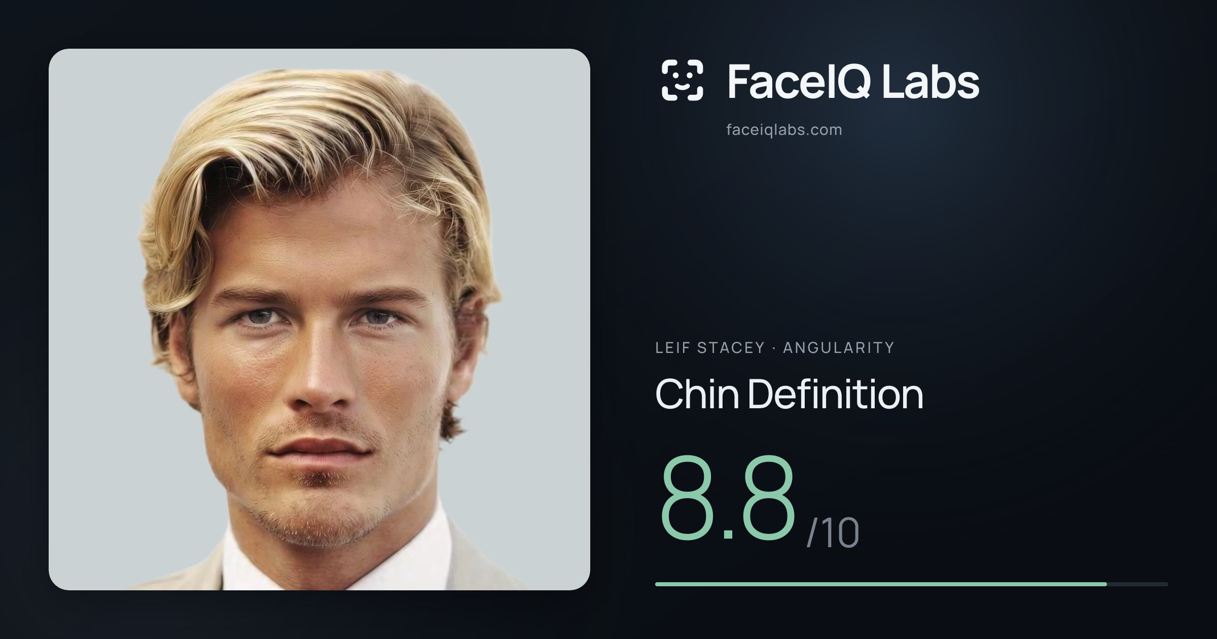Leif Stacey Chin Definition: 8.8/10, drawn on the photo