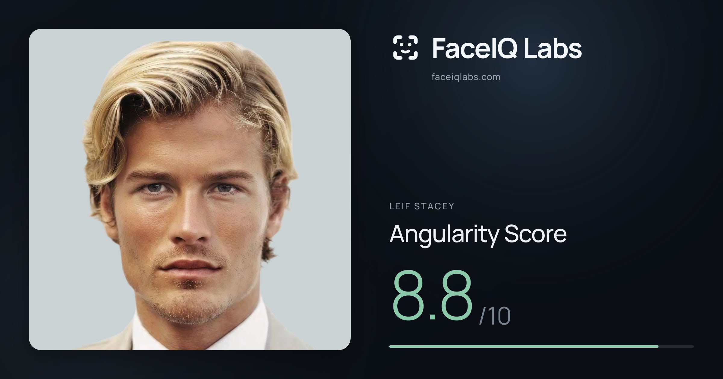 Leif Stacey Angularity: 8.8/10, with each assessment drawn on the photo