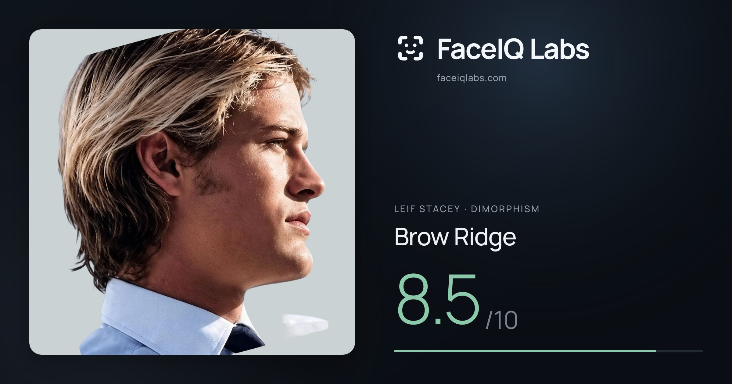 Leif Stacey Brow Ridge: 8.5/10, drawn on the photo