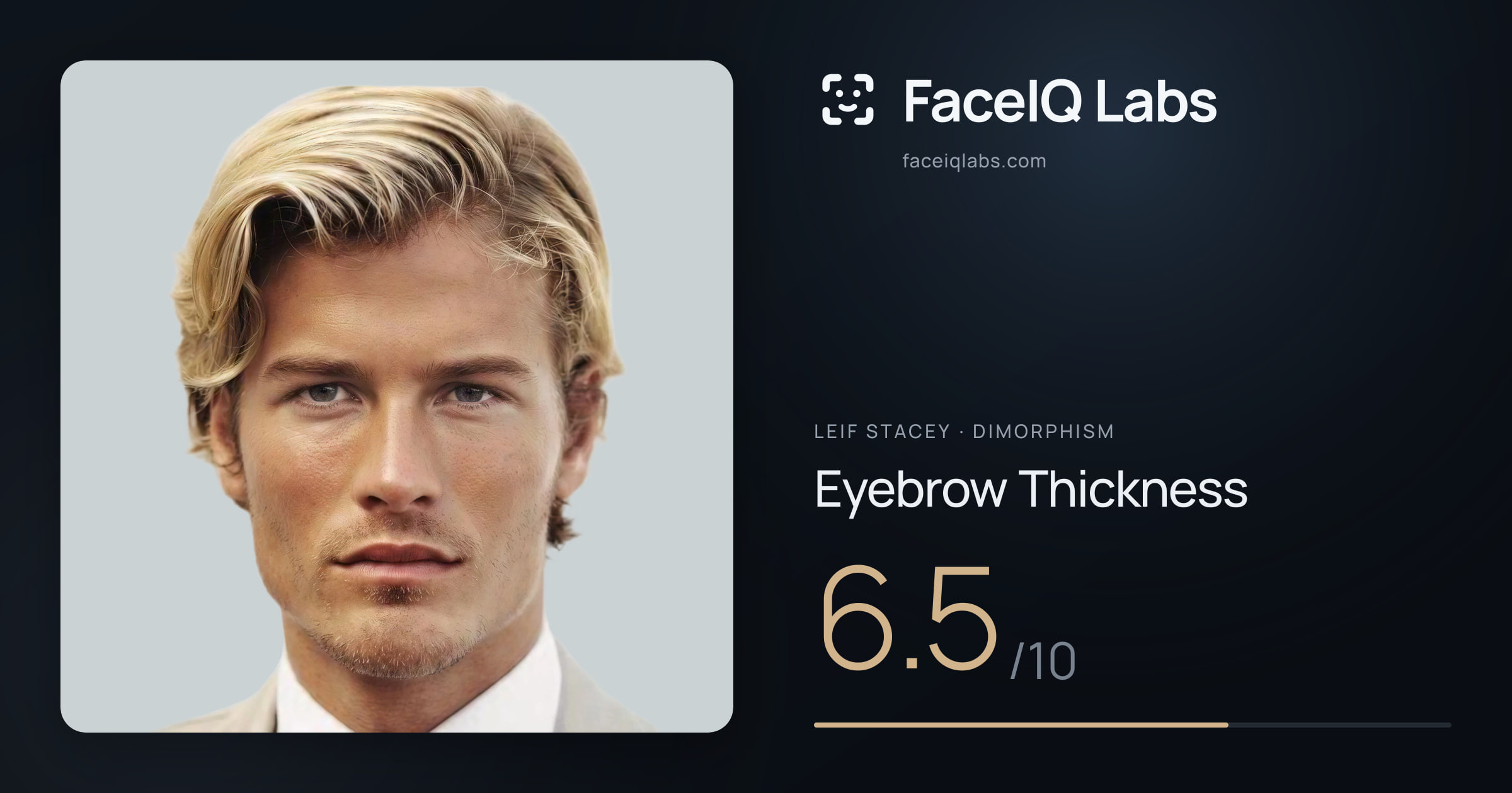 Leif Stacey Eyebrow Thickness: 6.5/10, drawn on the photo
