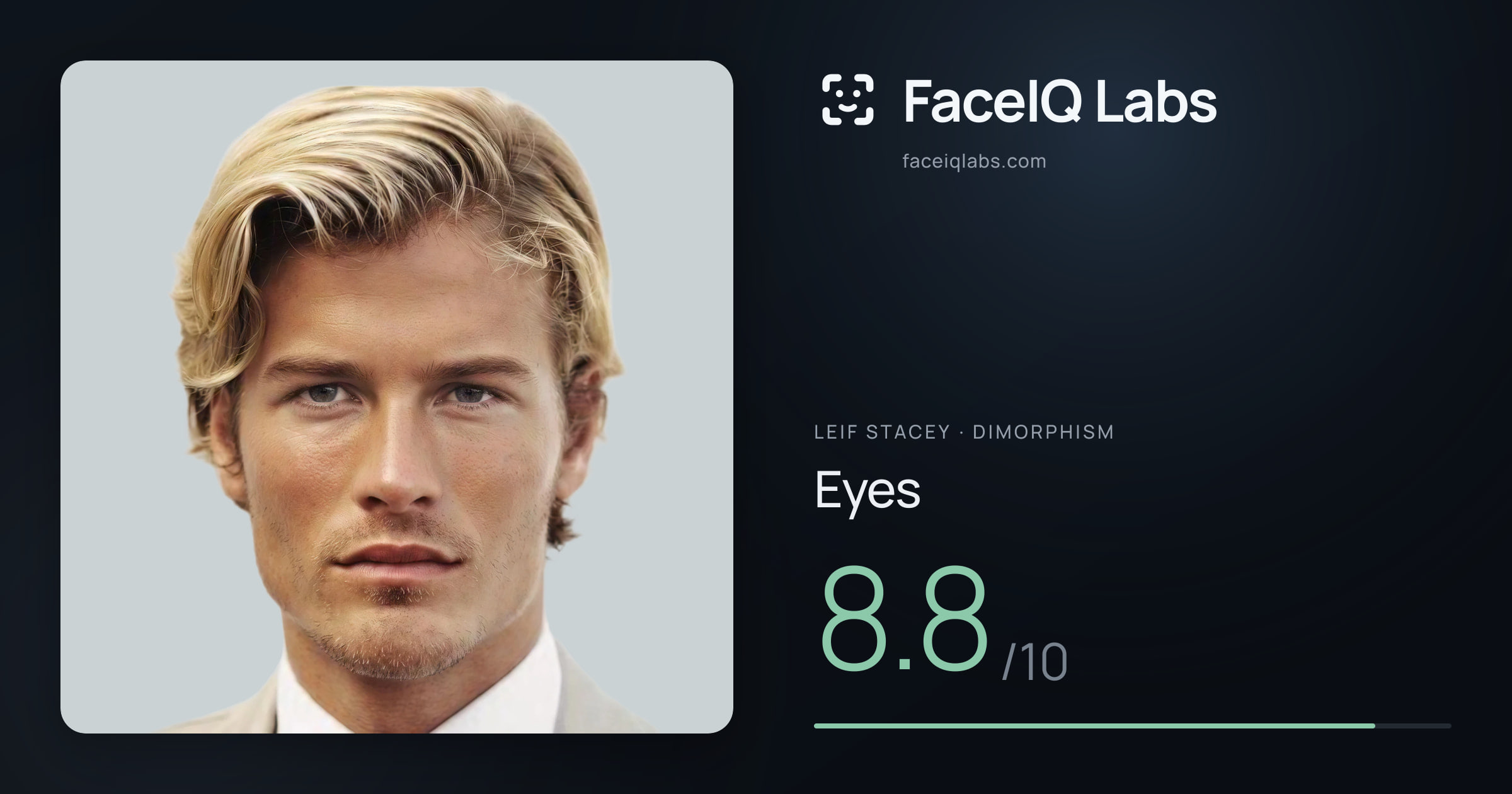 Leif Stacey Eyes: 8.8/10, drawn on the photo