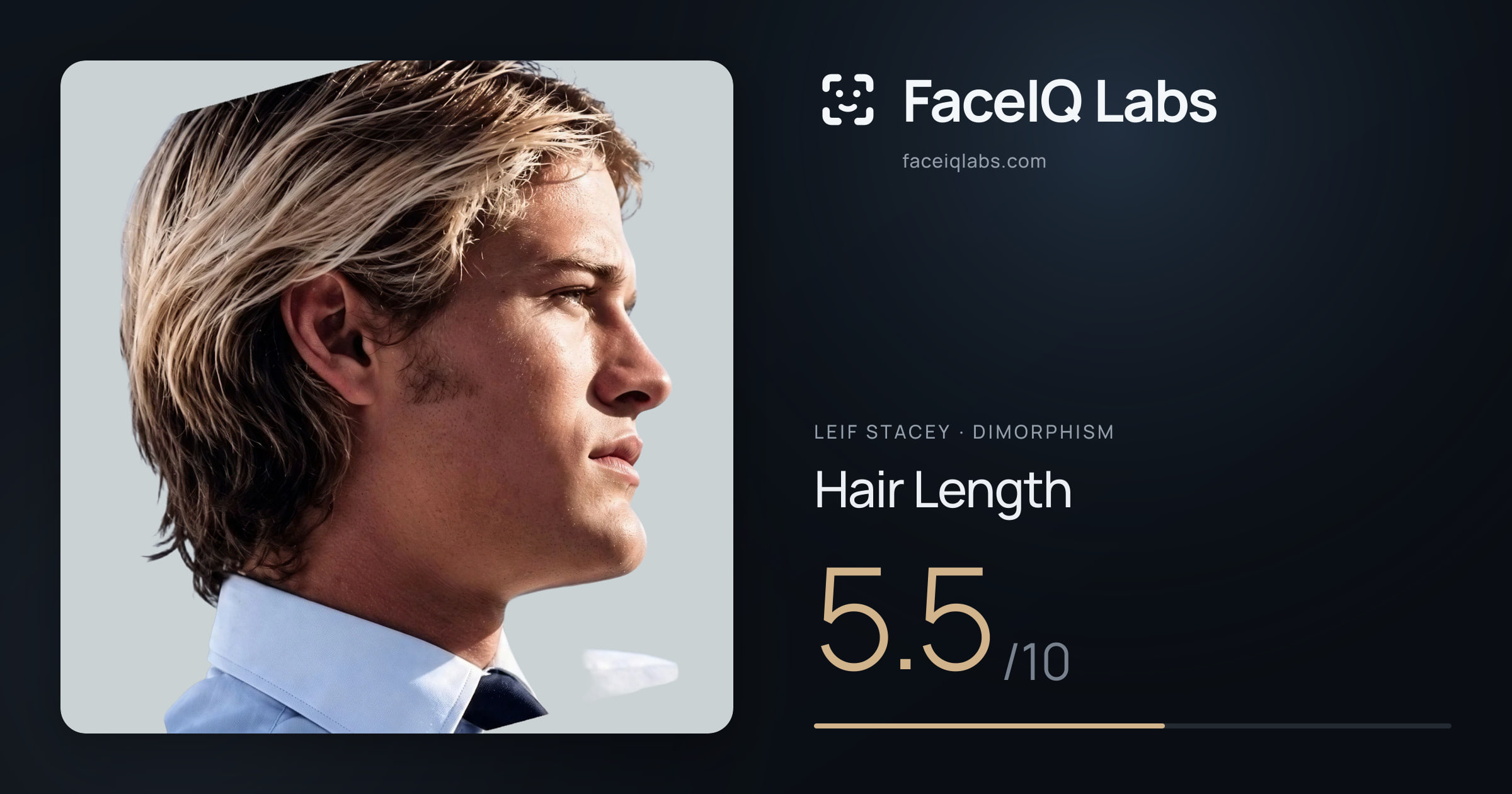 Leif Stacey Hair Length: 5.5/10, drawn on the photo