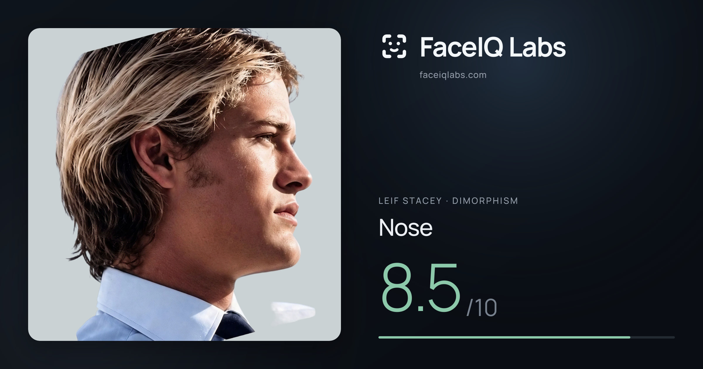 Leif Stacey Nose: 8.5/10, drawn on the photo