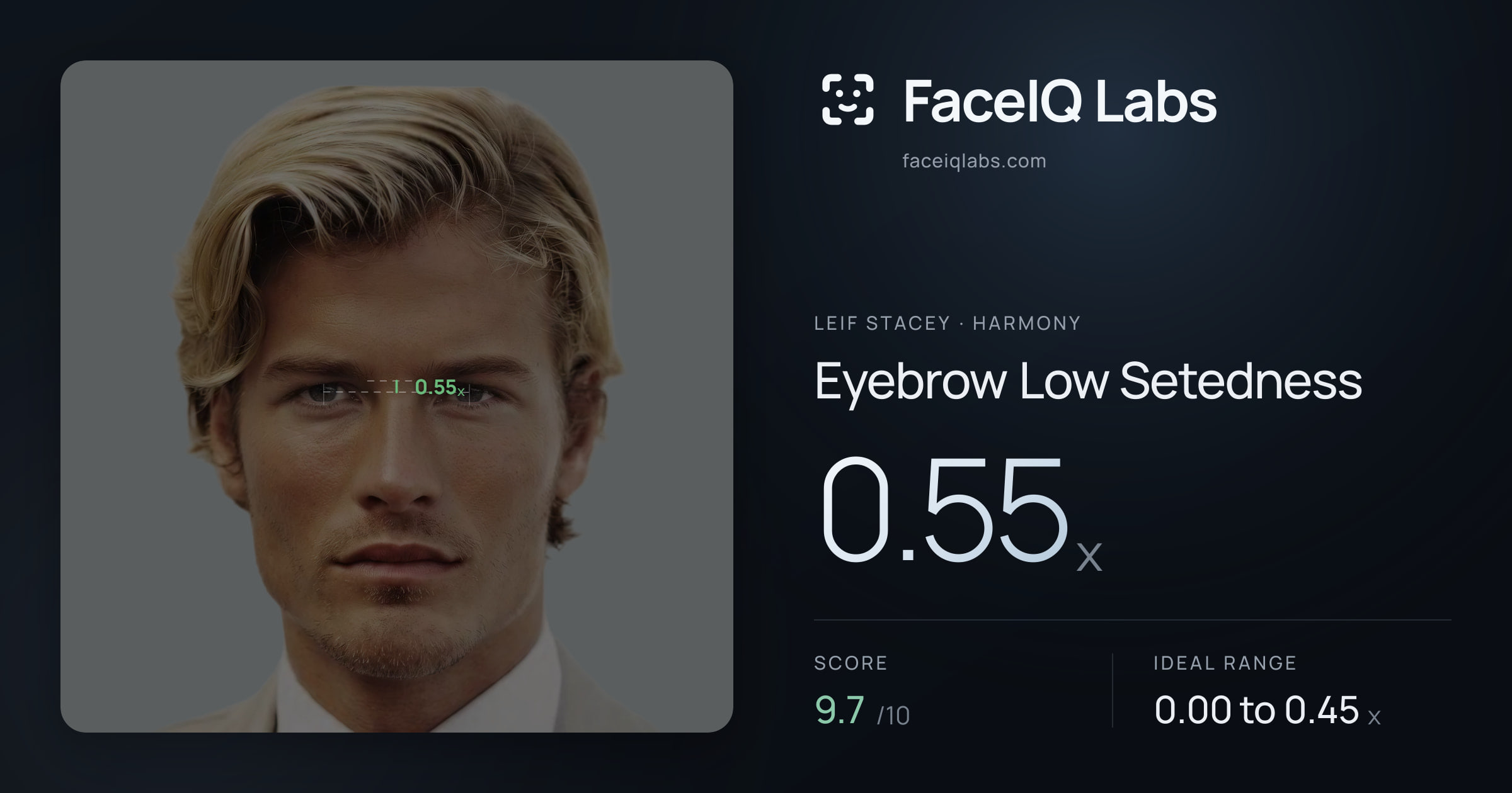 Leif Stacey Eyebrow Low Setedness: 0.55x, drawn on the photo