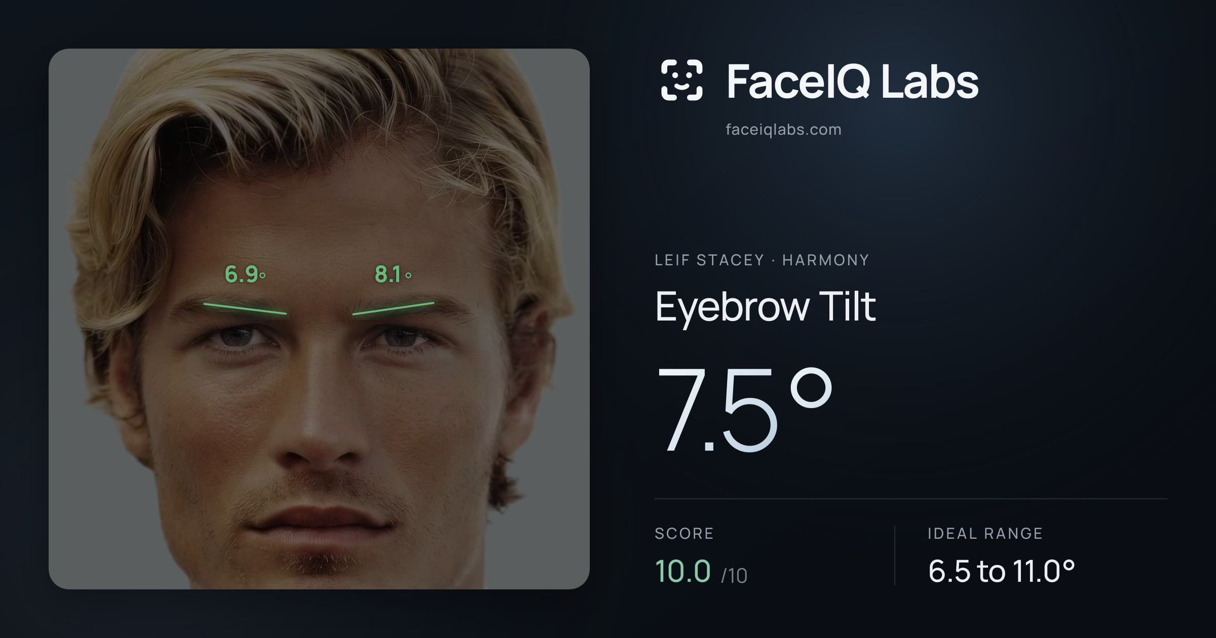 Leif Stacey Eyebrow Tilt: 7.5°, drawn on the photo