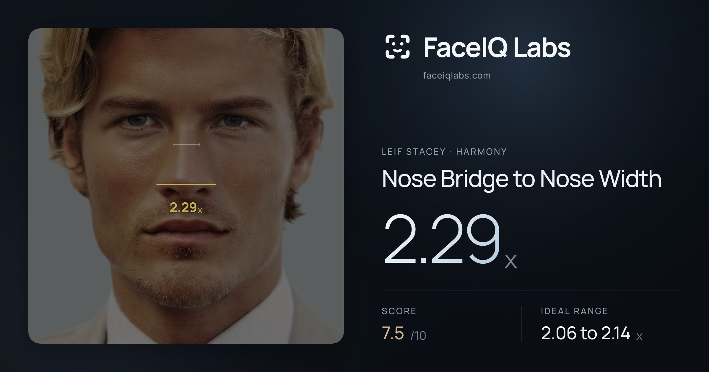 Leif Stacey Nose Bridge to Nose Width: 2.29x, drawn on the photo