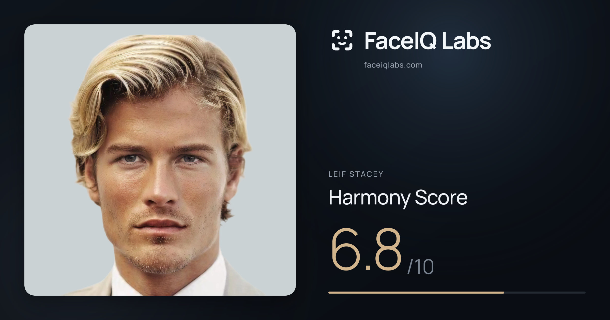 Leif Stacey Harmony: 6.8/10, with each ratio's score