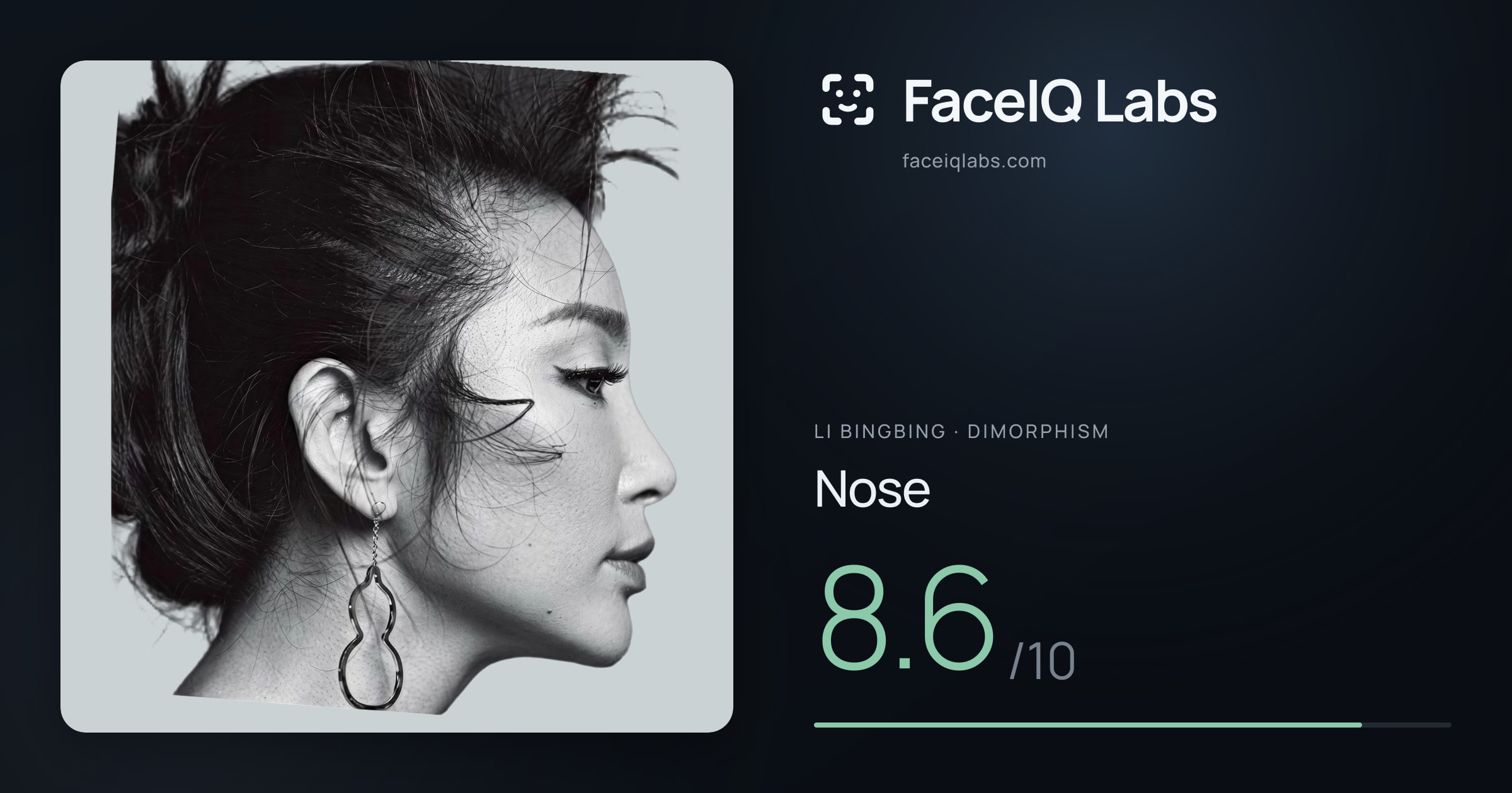 Li Bingbing Nose: 8.6/10, drawn on the photo