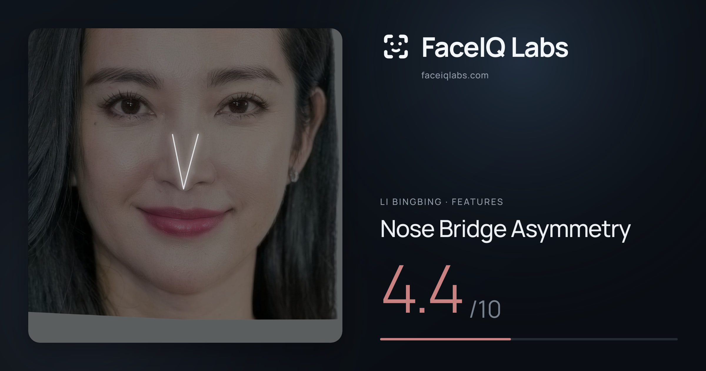 Li Bingbing Nose Bridge Asymmetry: 4.4/10, drawn on the photo