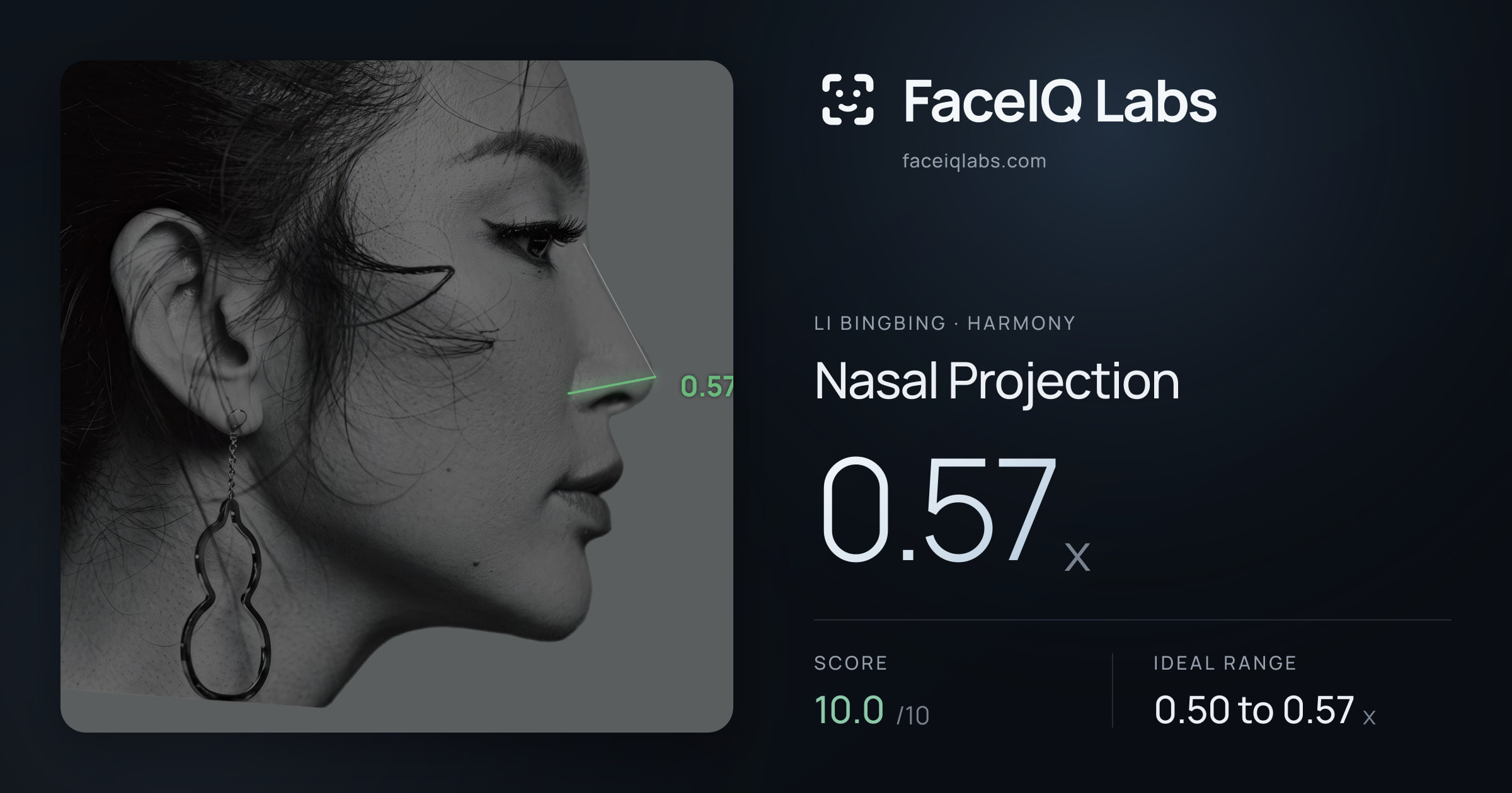 Li Bingbing Nasal Projection: 0.57x, drawn on the photo
