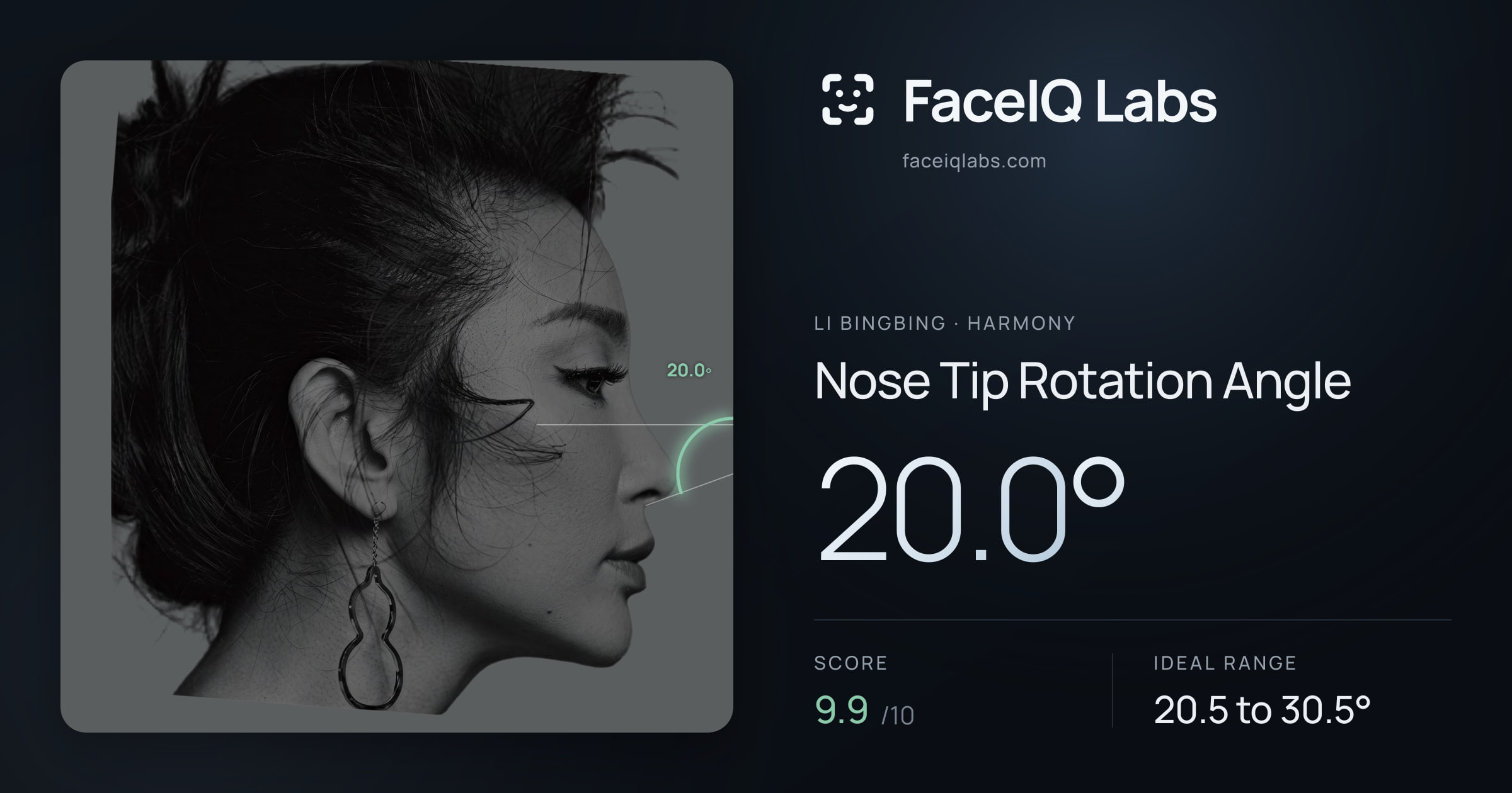 Li Bingbing Nose Tip Rotation Angle: 20.0°, drawn on the photo