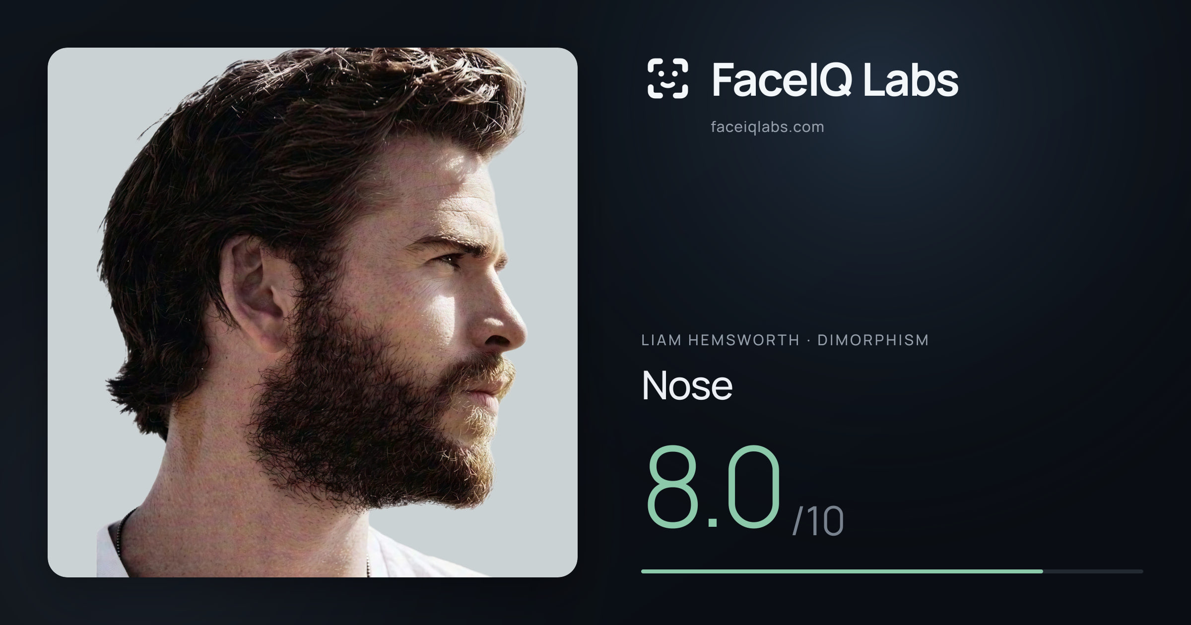 Liam Hemsworth Nose: 8.0/10, drawn on the photo