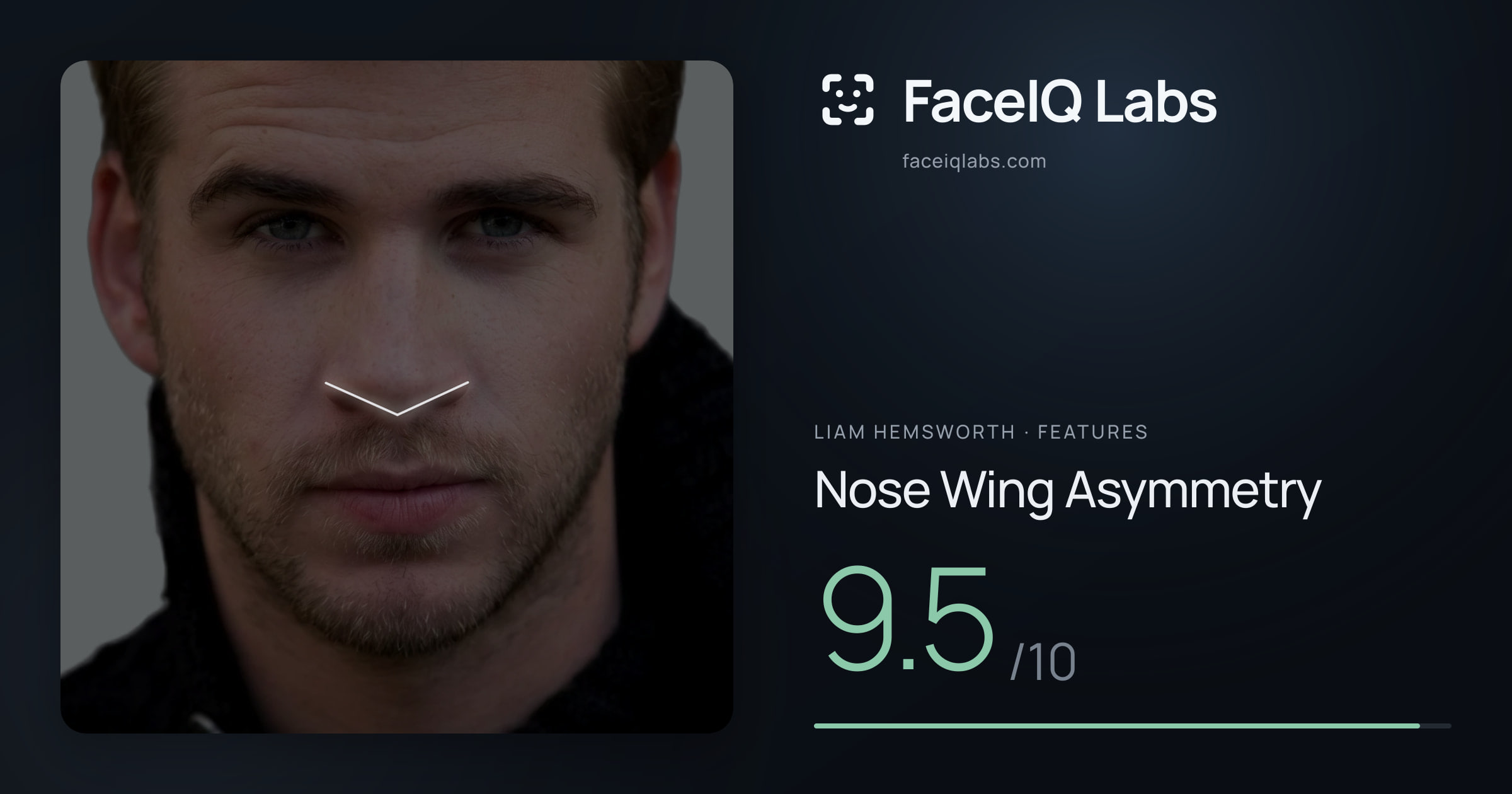 Liam Hemsworth Nose Wing Asymmetry: 9.5/10, drawn on the photo