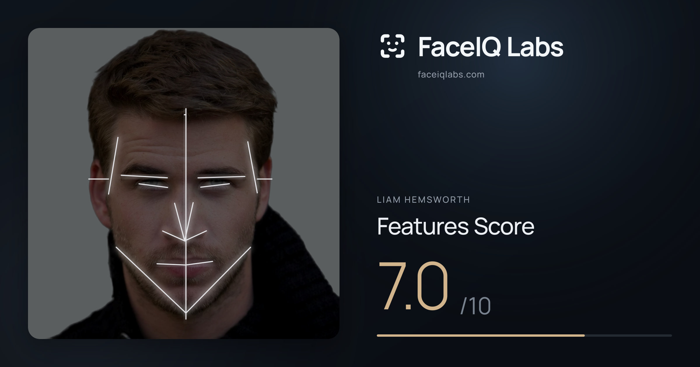 Liam Hemsworth Features: 7.0/10, with each assessment drawn on the photo