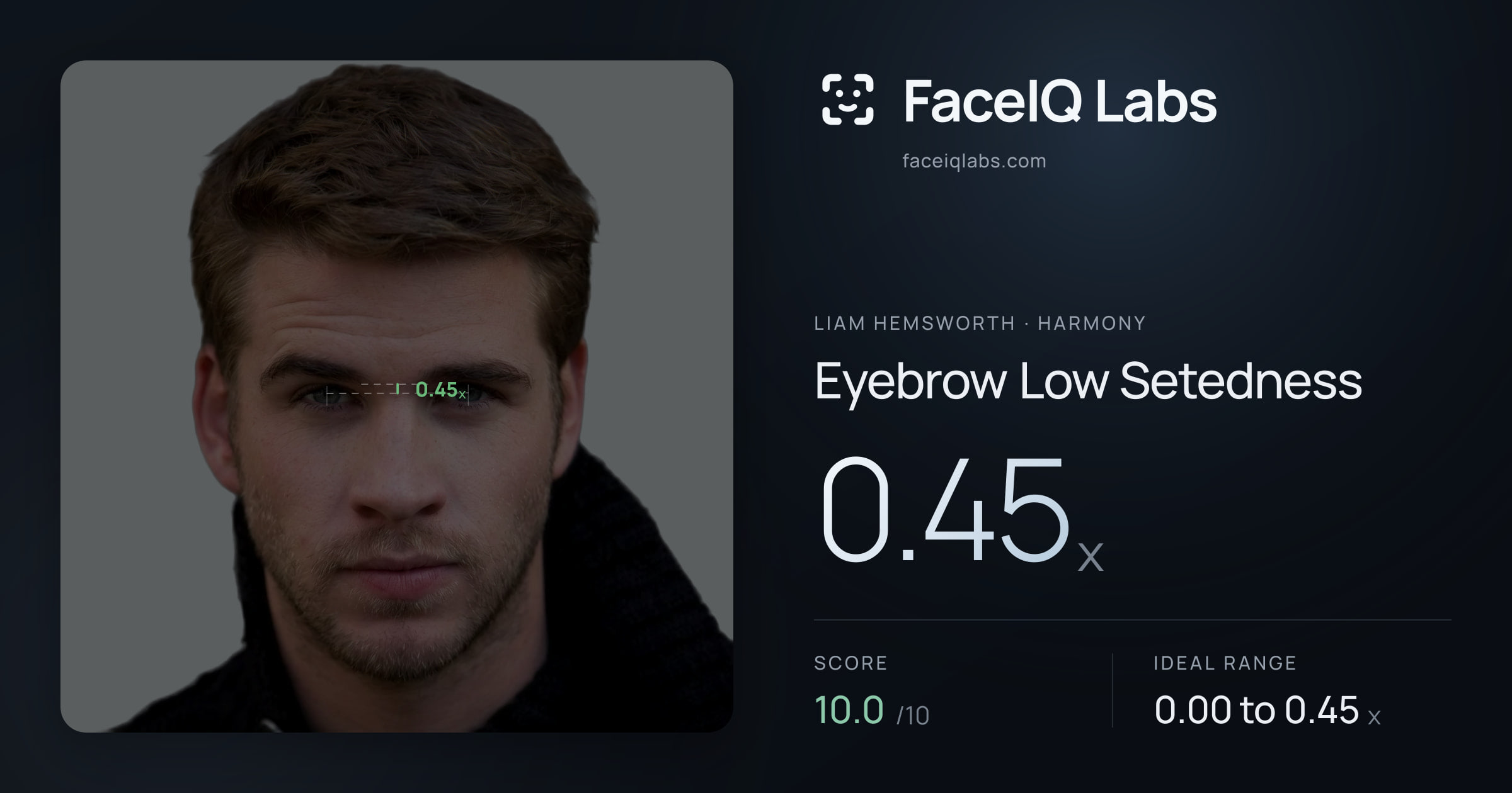 Liam Hemsworth Eyebrow Low Setedness: 0.45x, drawn on the photo