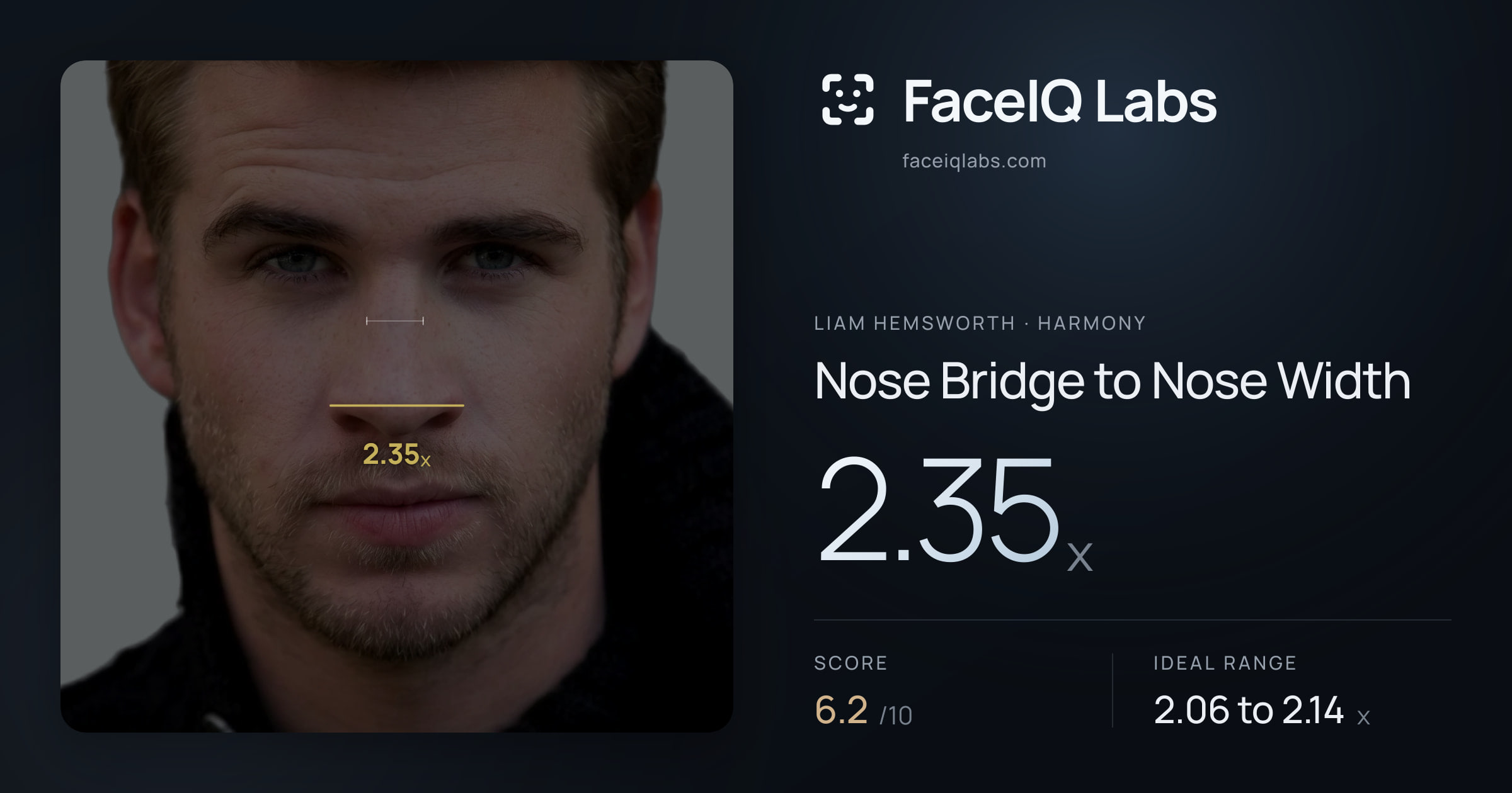 Liam Hemsworth Nose Bridge to Nose Width: 2.35x, drawn on the photo