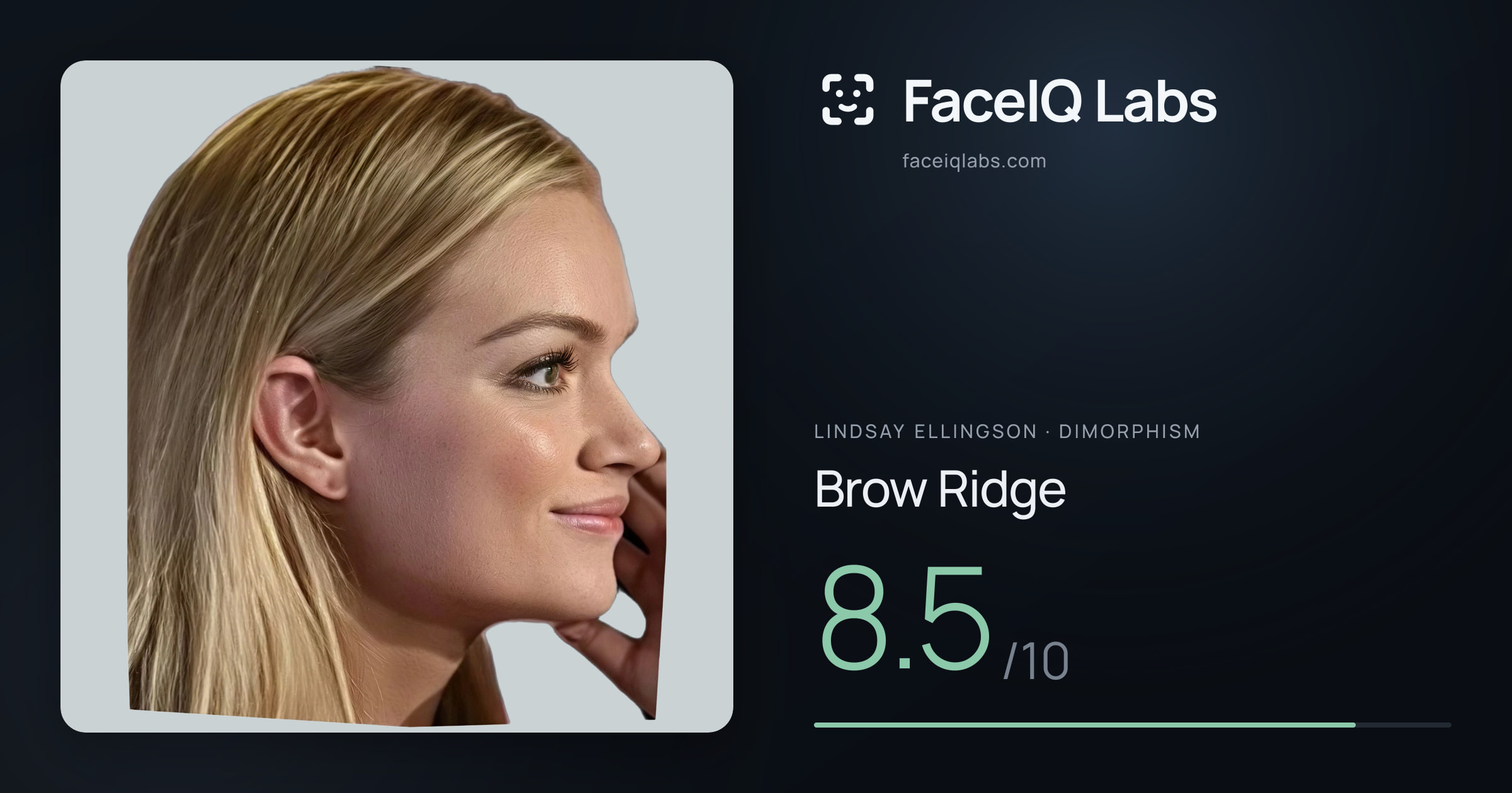Lindsay Ellingson Brow Ridge: 8.5/10, drawn on the photo
