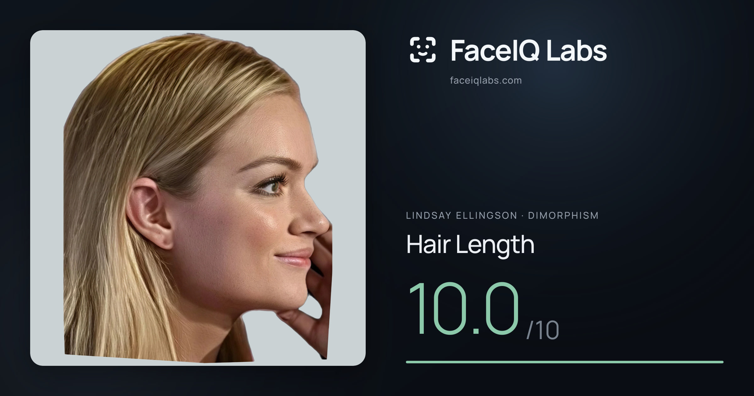 Lindsay Ellingson Hair Length: 10.0/10, drawn on the photo