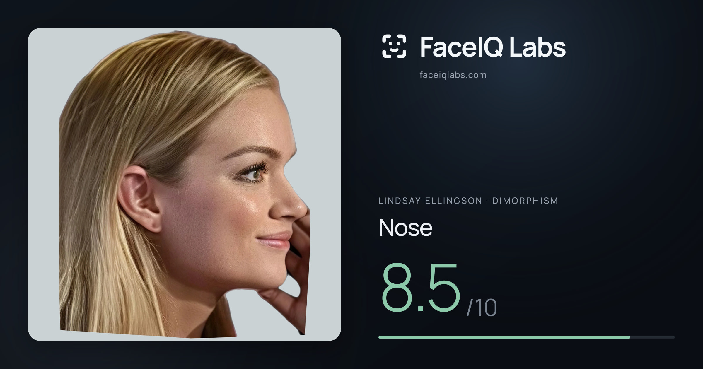 Lindsay Ellingson Nose: 8.5/10, drawn on the photo