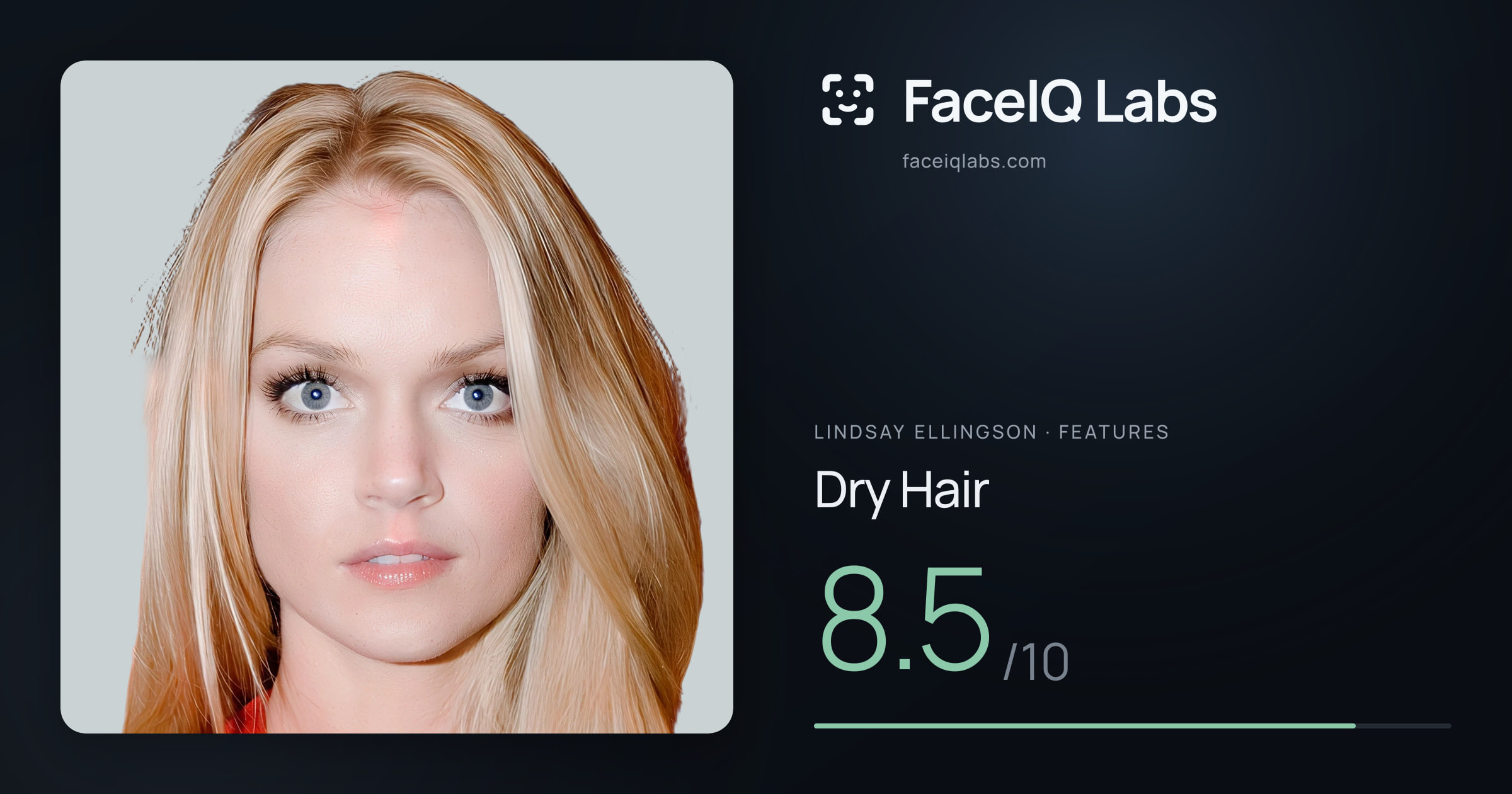 Lindsay Ellingson Dry Hair: 8.5/10, drawn on the photo