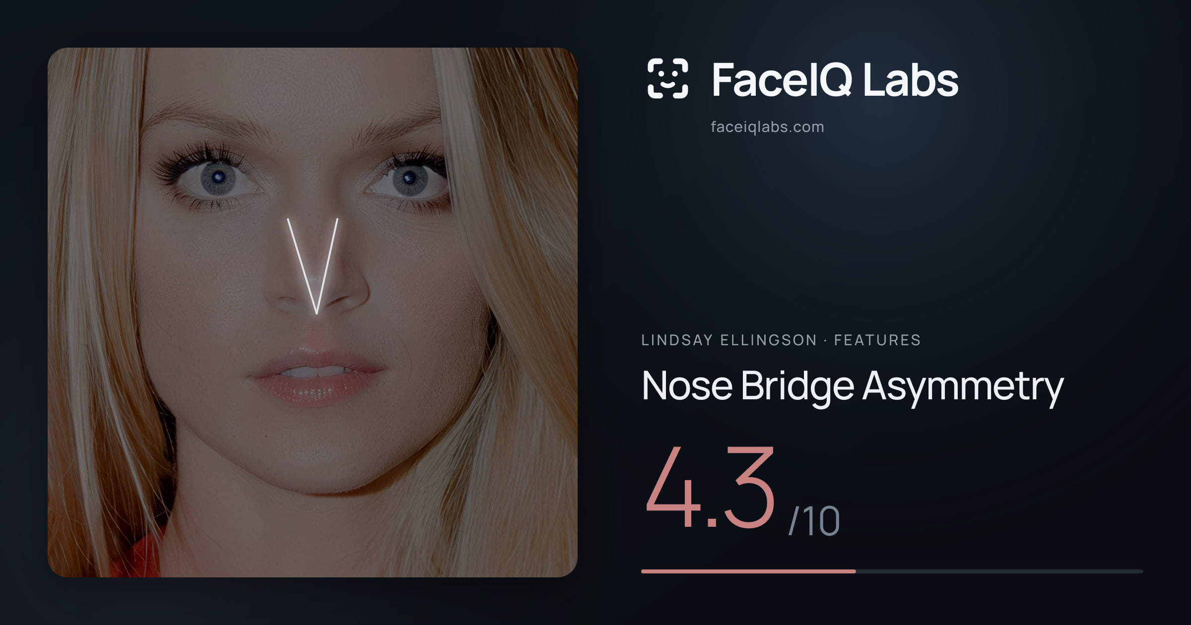 Lindsay Ellingson Nose Bridge Asymmetry: 4.3/10, drawn on the photo