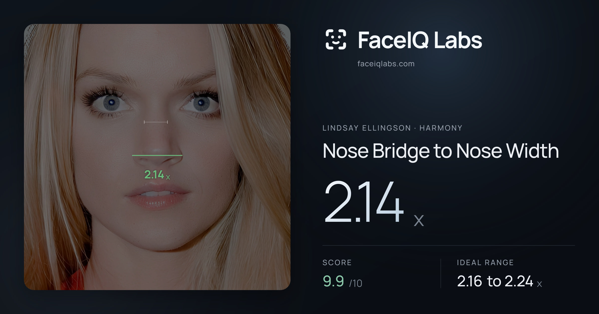 Lindsay Ellingson Nose Bridge to Nose Width: 2.14x, drawn on the photo