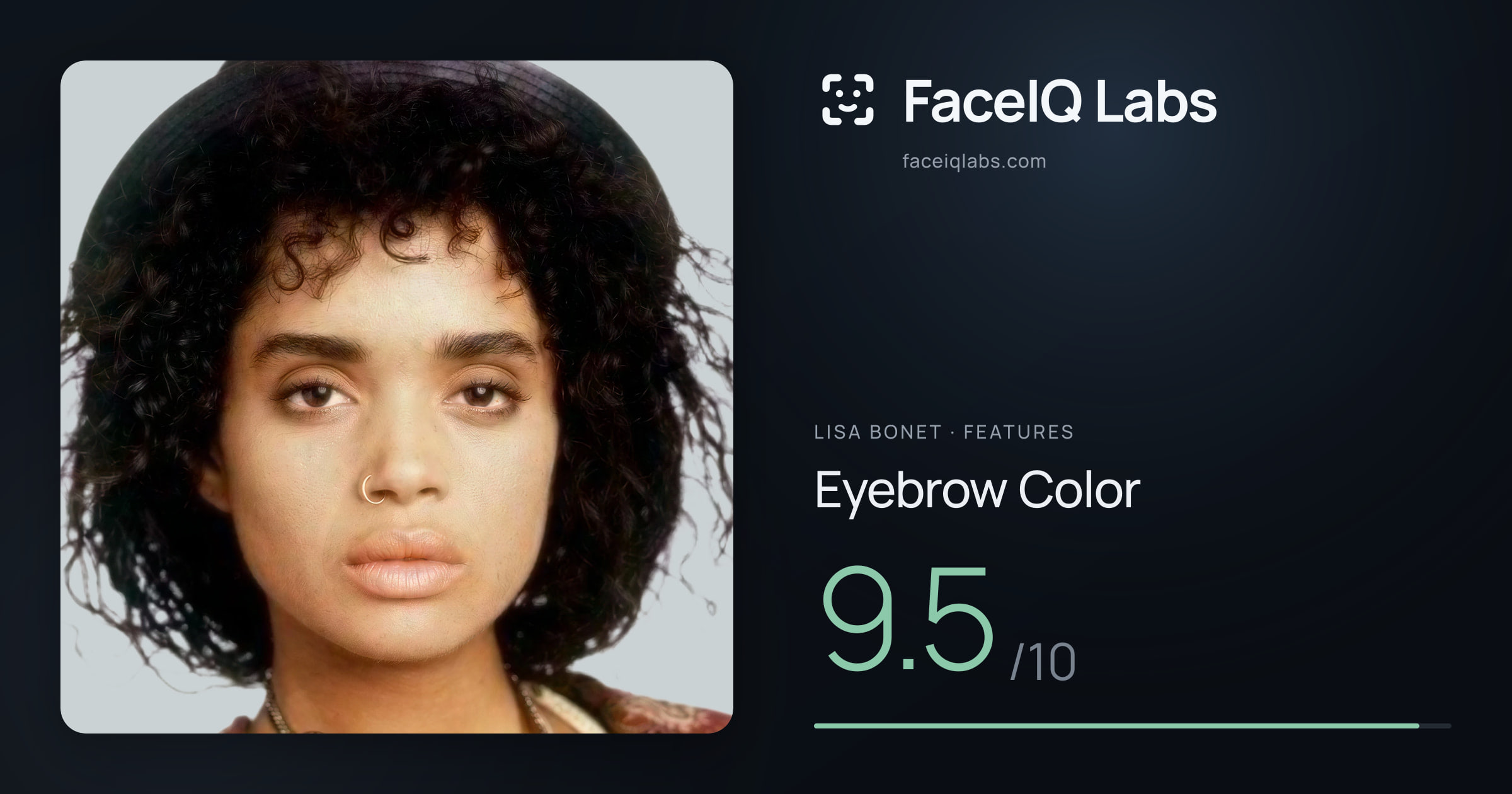 Lisa Bonet Eyebrow Color: 9.5/10, drawn on the photo