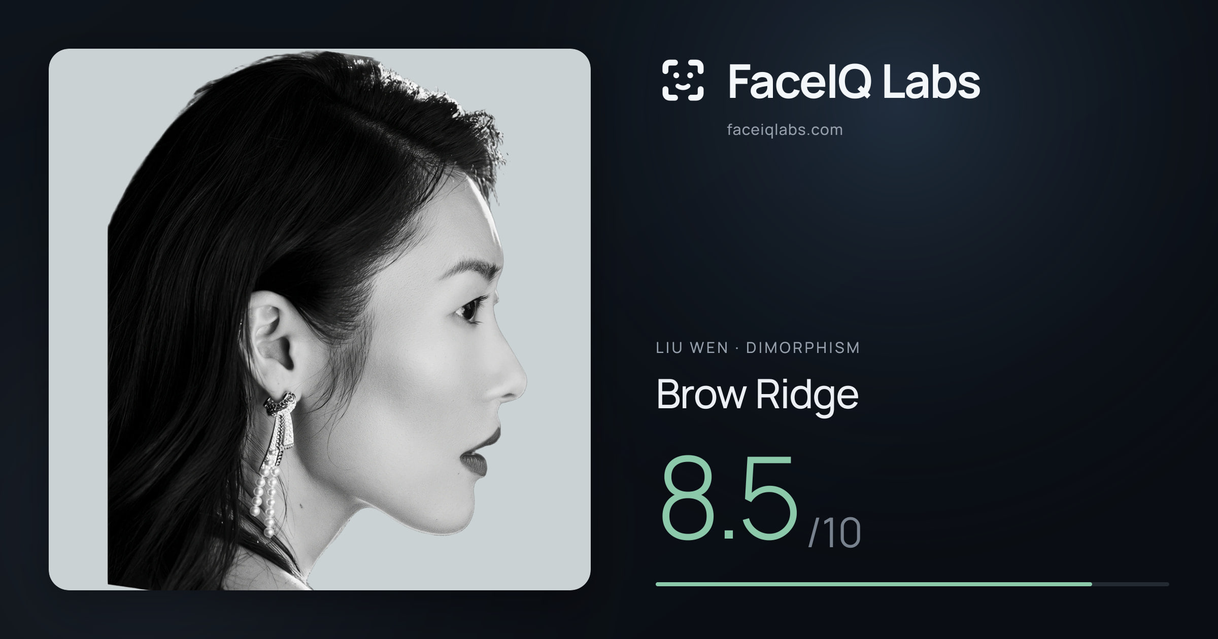 Liu Wen Brow Ridge: 8.5/10, drawn on the photo