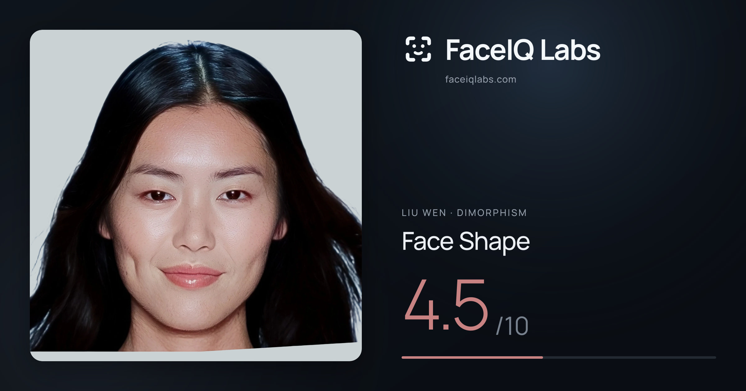 Liu Wen Face Shape: 4.5/10, drawn on the photo