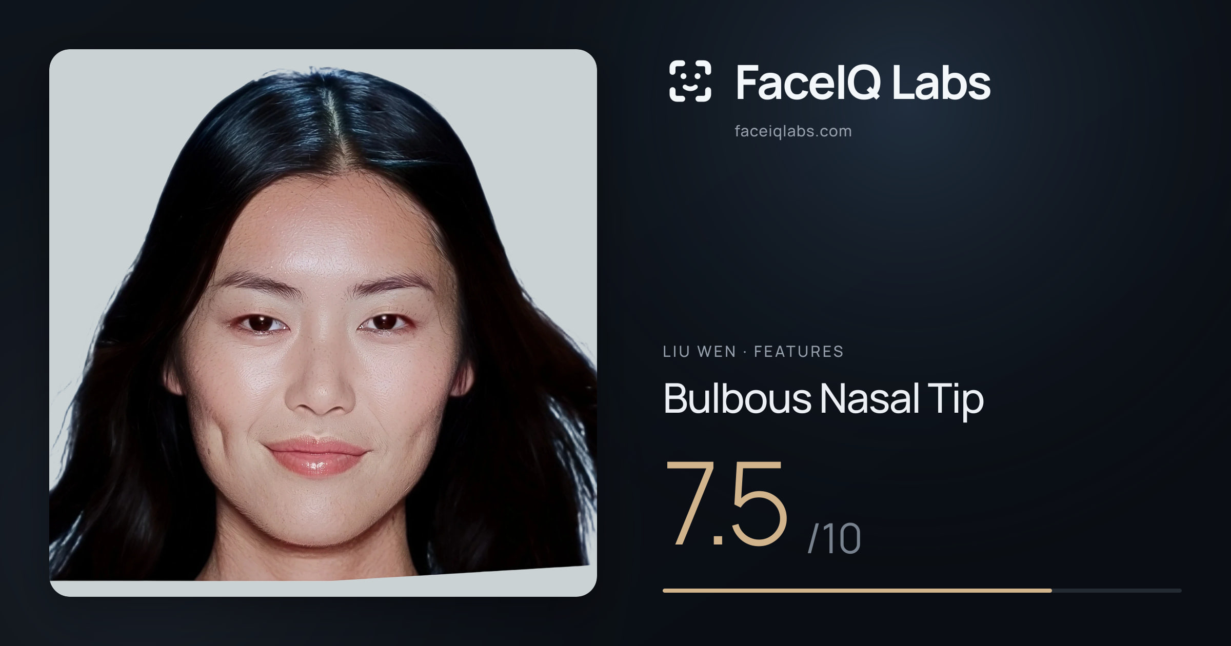 Liu Wen Bulbous Nasal Tip: 7.5/10, drawn on the photo