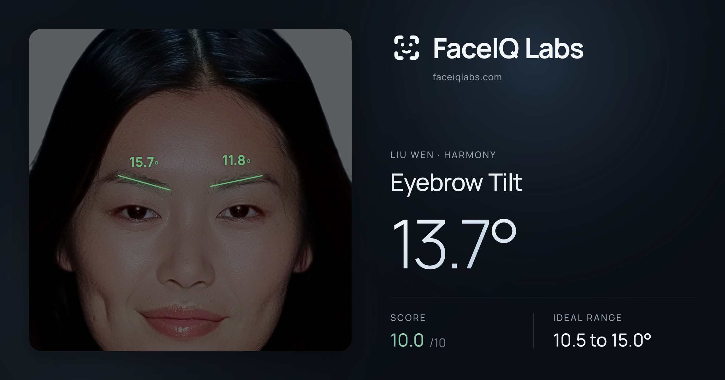 Liu Wen Eyebrow Tilt: 13.7°, drawn on the photo