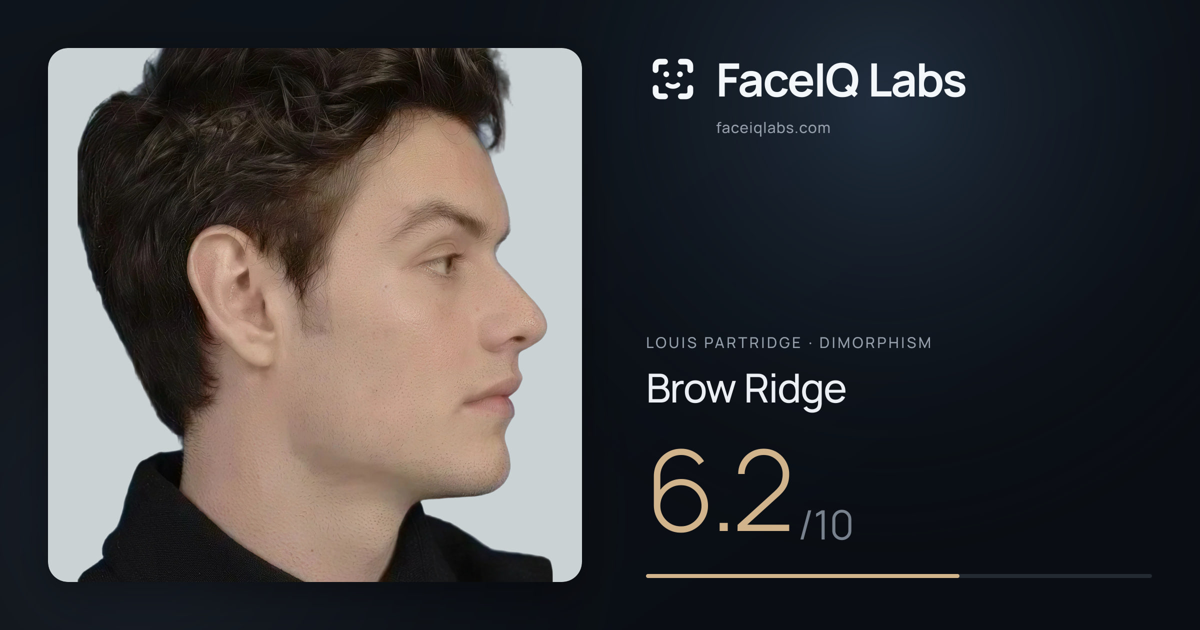 Louis Partridge Brow Ridge: 6.2/10, drawn on the photo