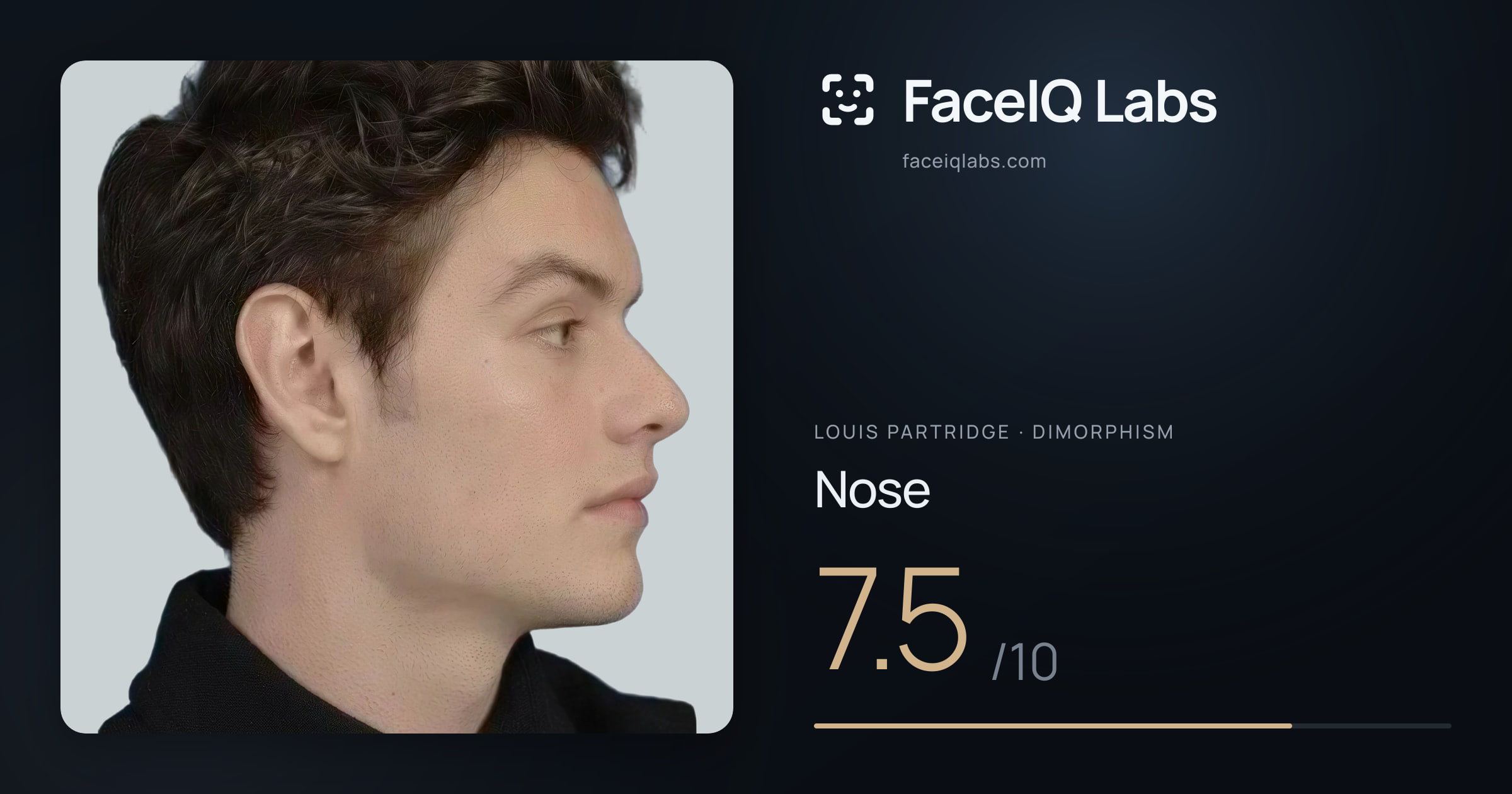 Louis Partridge Nose: 7.5/10, drawn on the photo