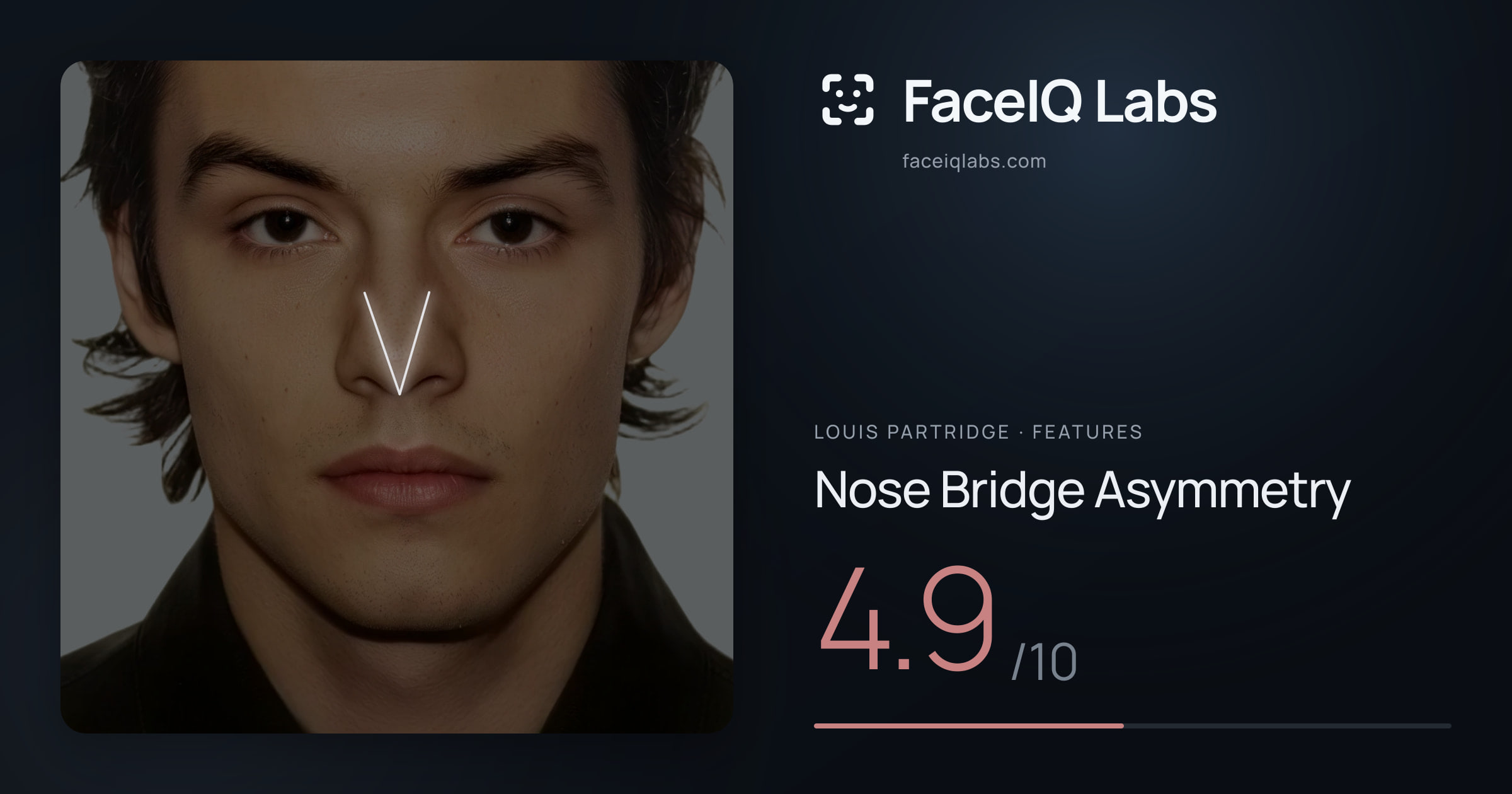 Louis Partridge Nose Bridge Asymmetry: 4.9/10, drawn on the photo