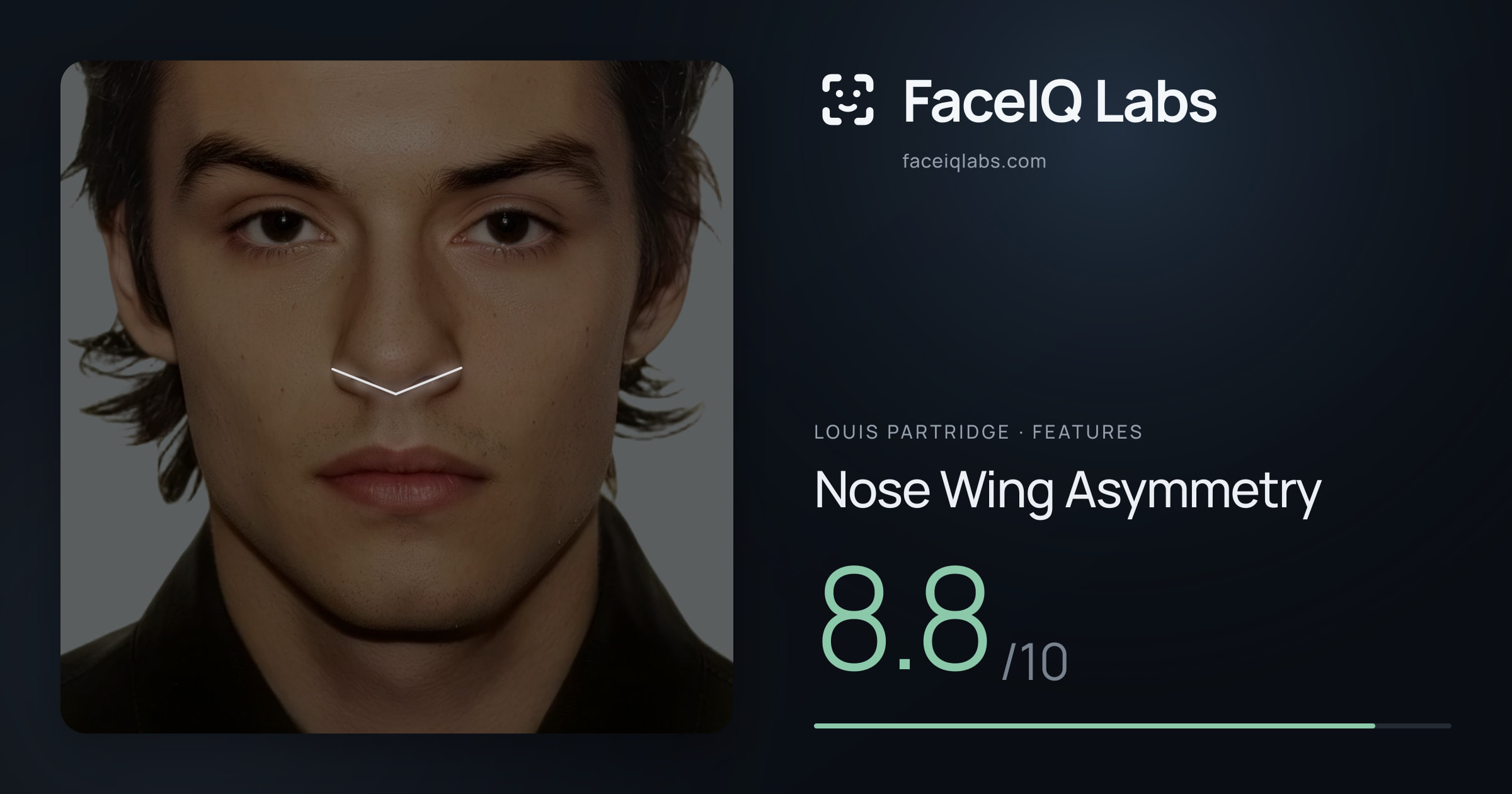 Louis Partridge Nose Wing Asymmetry: 8.8/10, drawn on the photo