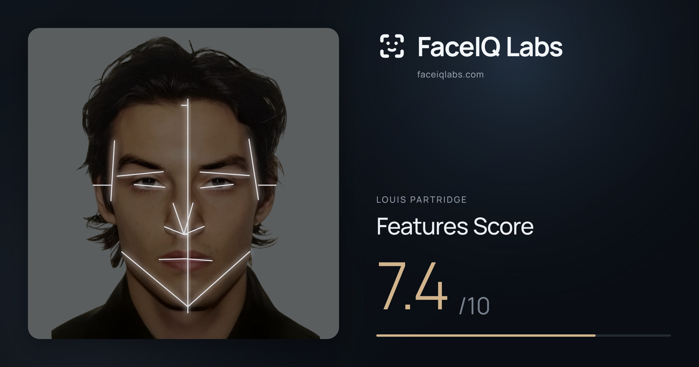 Louis Partridge Features: 7.4/10, with each assessment drawn on the photo