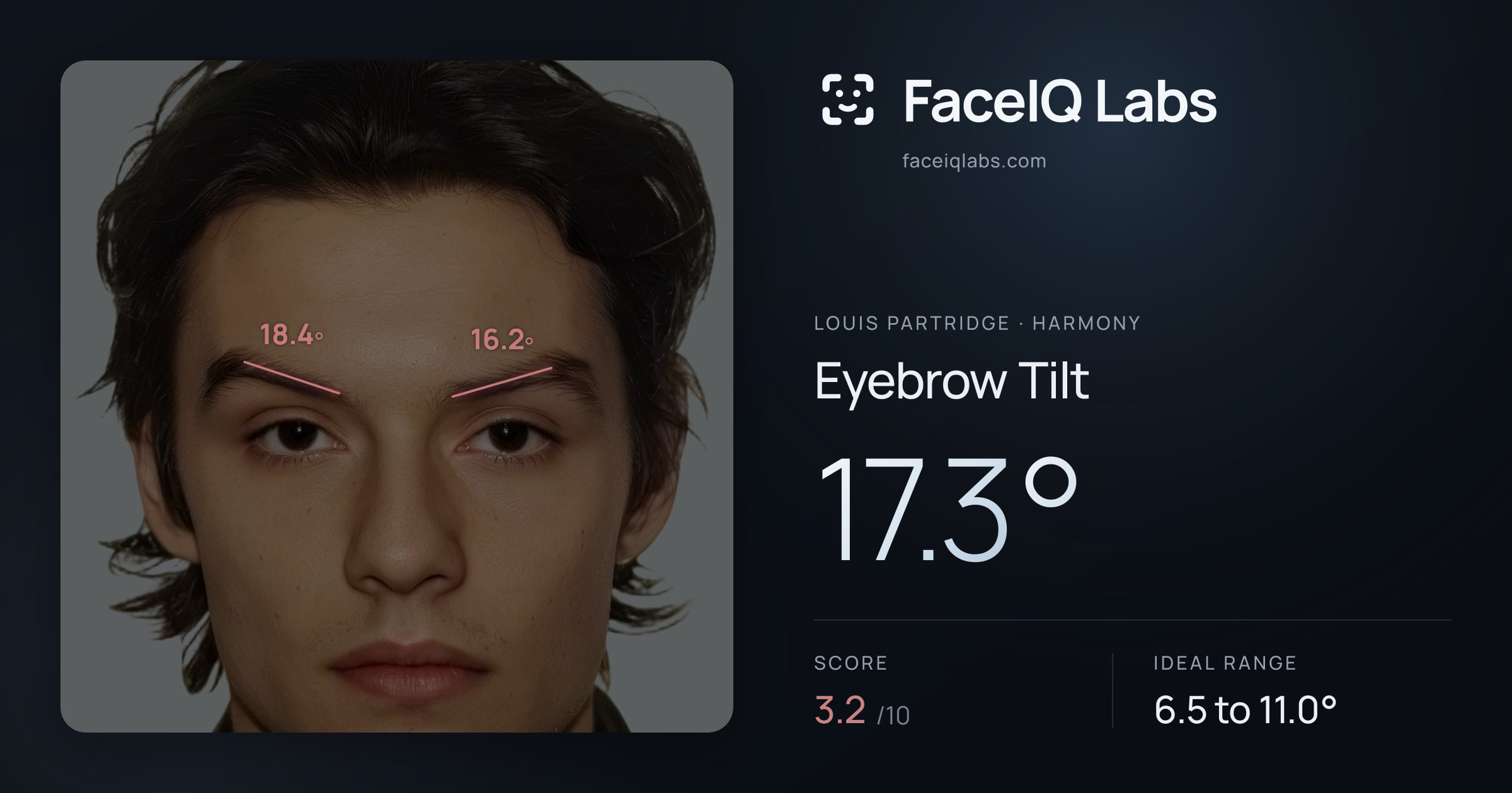 Louis Partridge Eyebrow Tilt: 17.3°, drawn on the photo