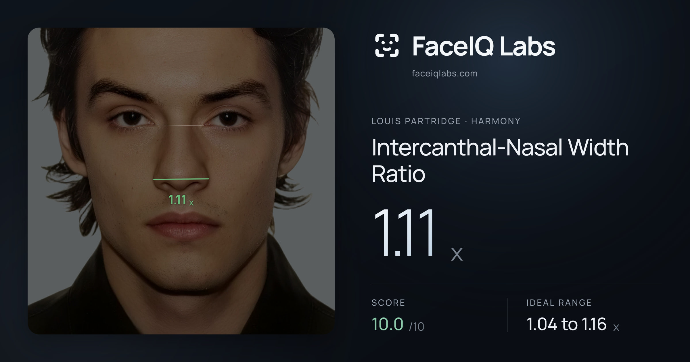 Louis Partridge Intercanthal-Nasal Width Ratio: 1.11x, drawn on the photo