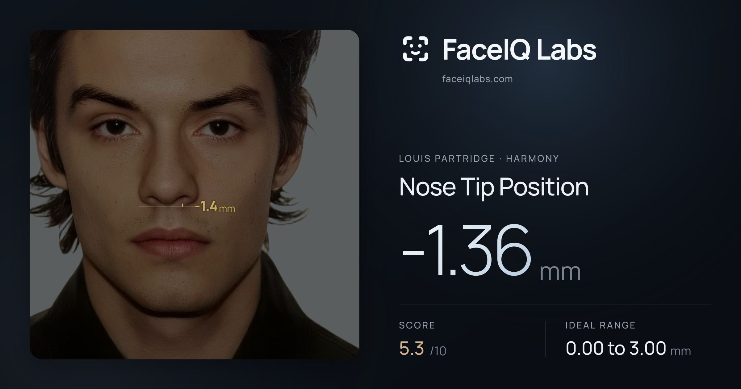 Louis Partridge Nose Tip Position: -1.36mm, drawn on the photo