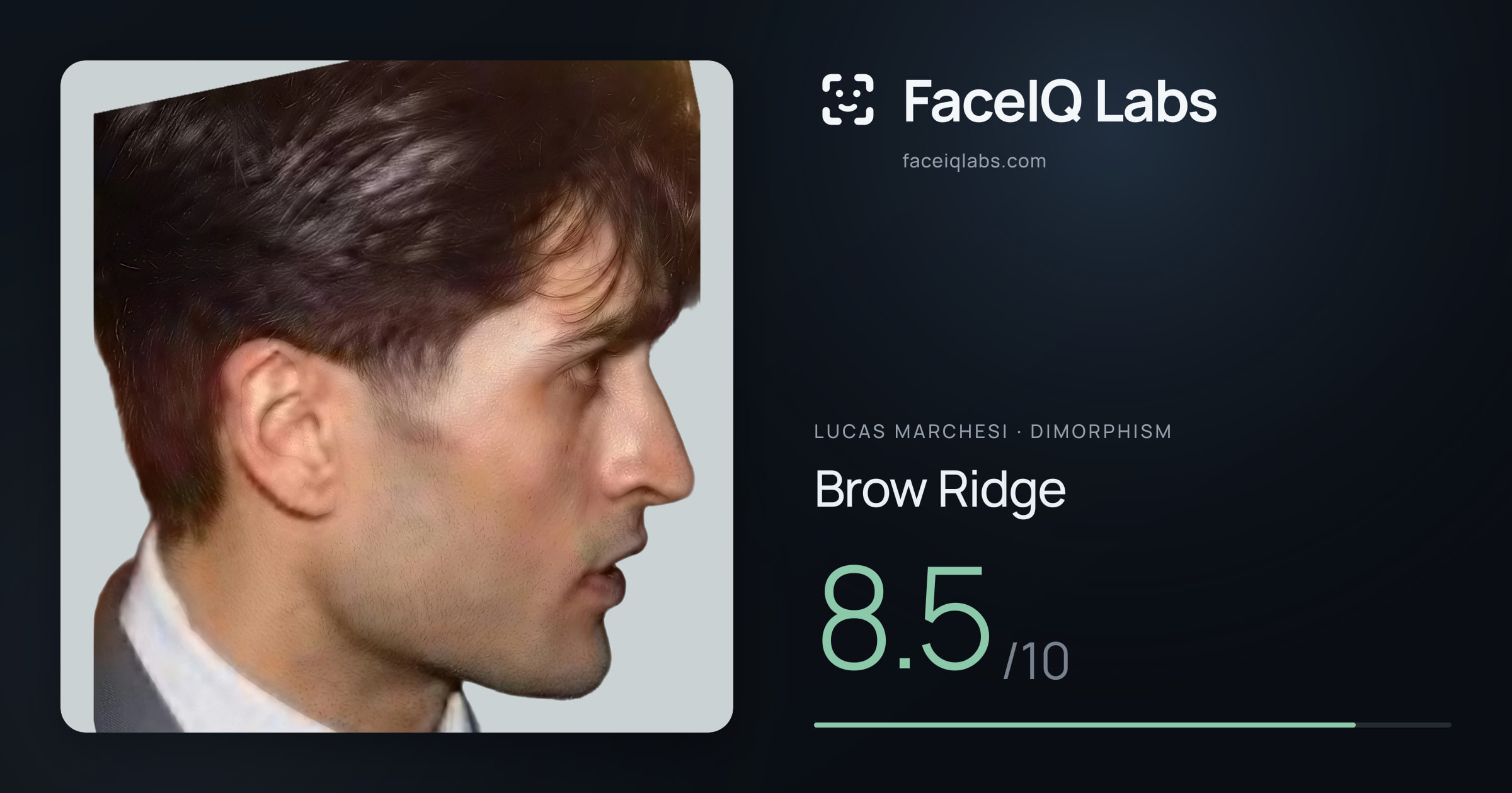 Lucas Marchesi Brow Ridge: 8.5/10, drawn on the photo