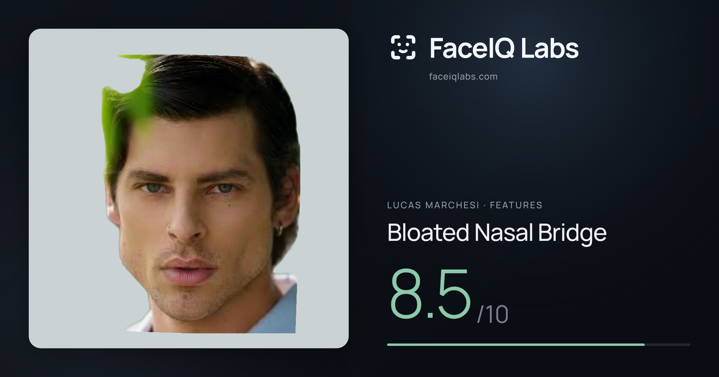 Lucas Marchesi Bloated Nasal Bridge: 8.5/10, drawn on the photo