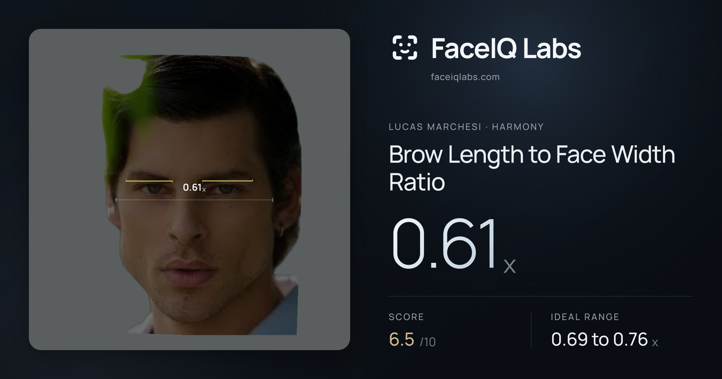 Lucas Marchesi Brow Length to Face Width Ratio: 0.61x, drawn on the photo