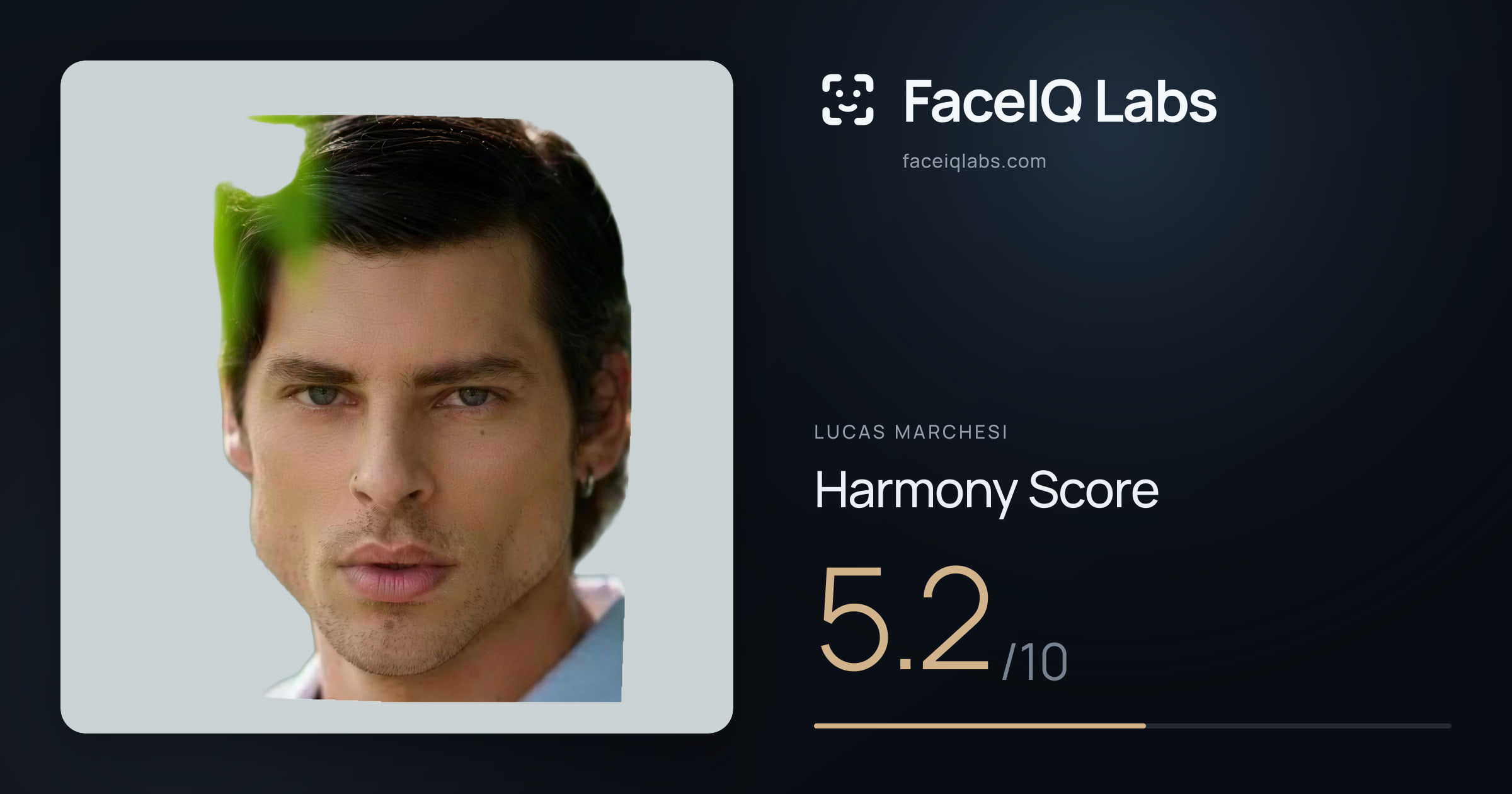 Lucas Marchesi Harmony: 5.2/10, with each ratio's score