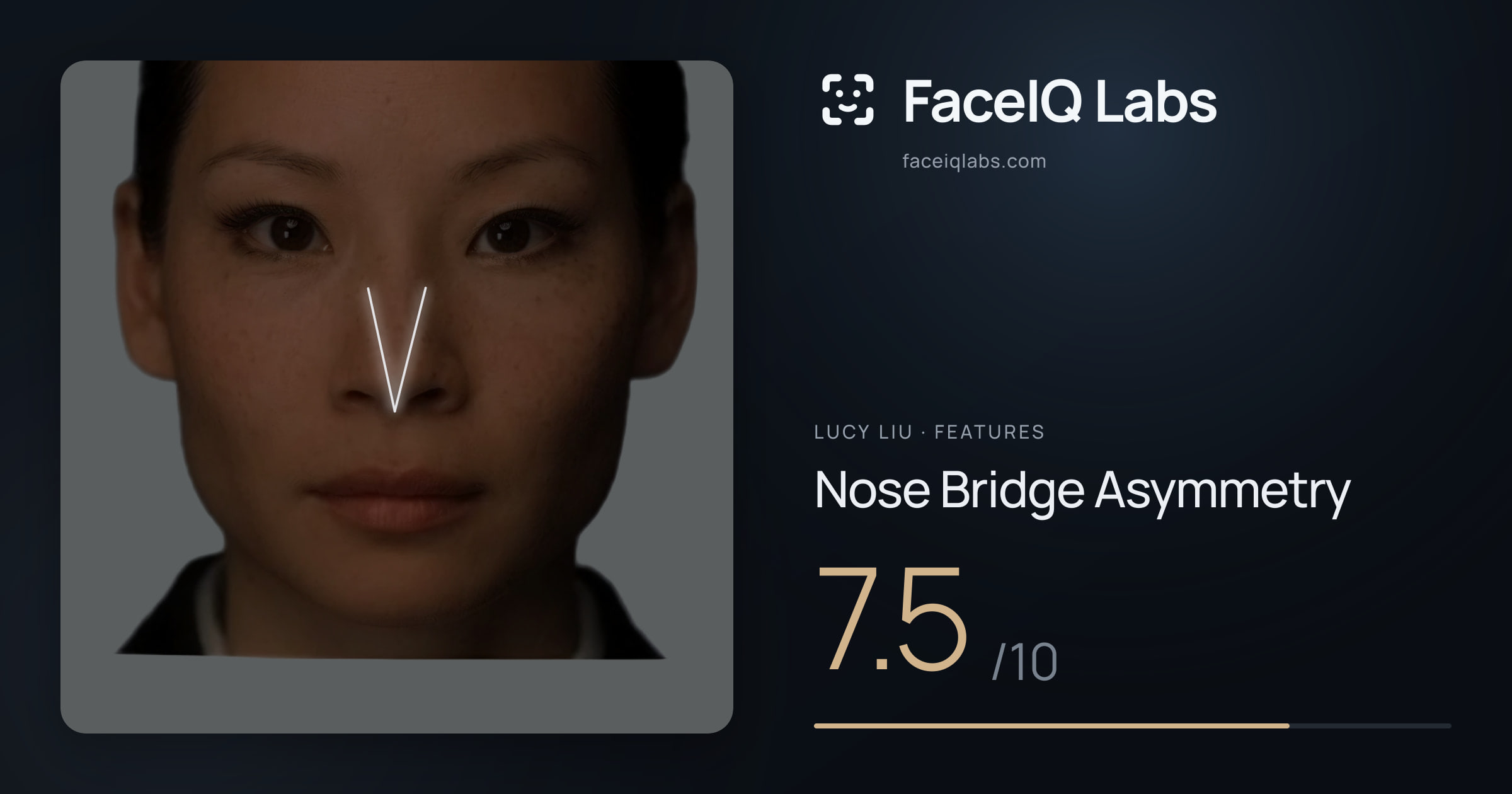 Lucy Liu Nose Bridge Asymmetry: 7.5/10, drawn on the photo