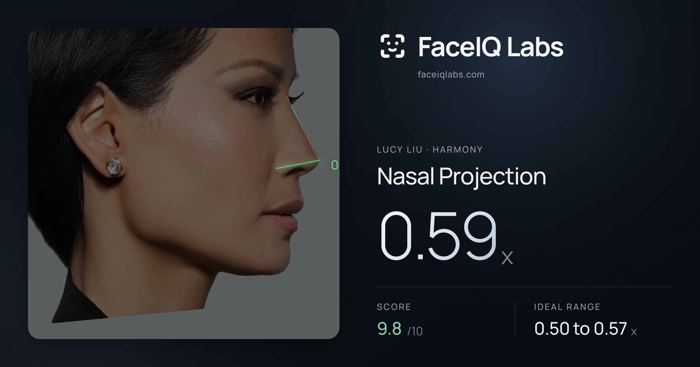 Lucy Liu Nasal Projection: 0.59x, drawn on the photo