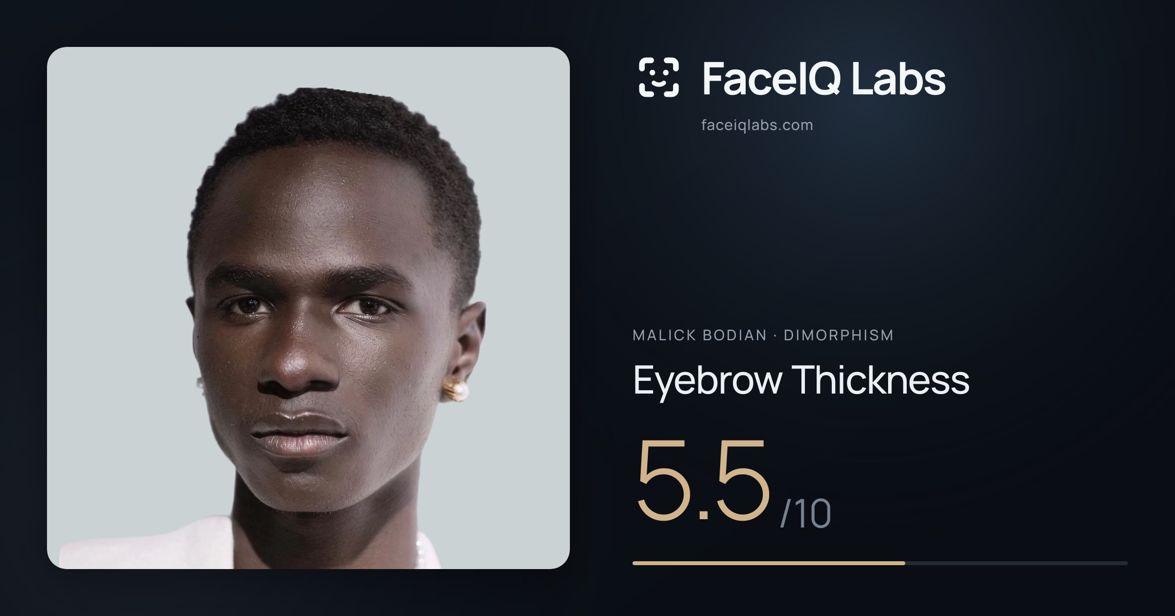 Malick Bodian Eyebrow Thickness: 5.5/10, drawn on the photo