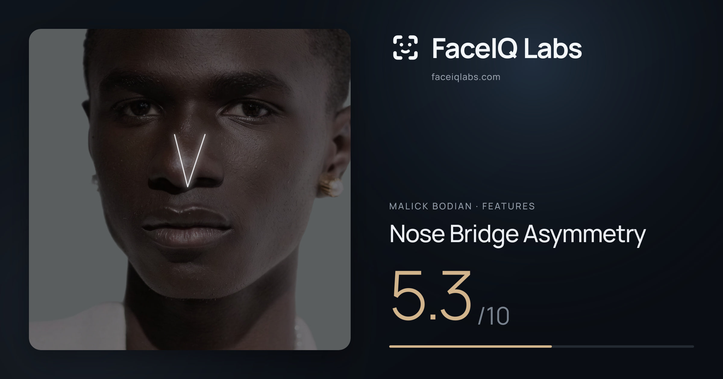 Malick Bodian Nose Bridge Asymmetry: 5.3/10, drawn on the photo