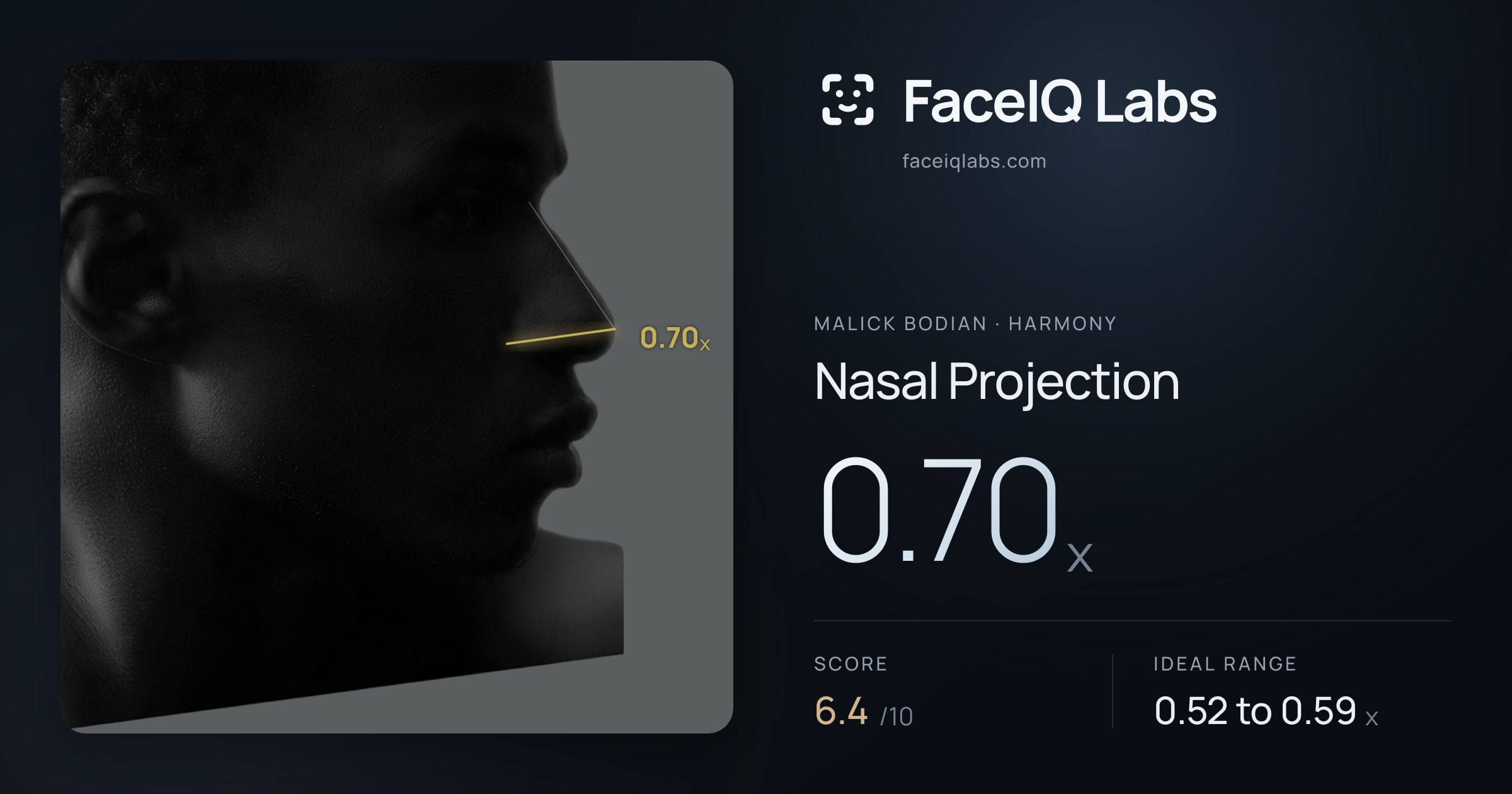 Malick Bodian Nasal Projection: 0.70x, drawn on the photo
