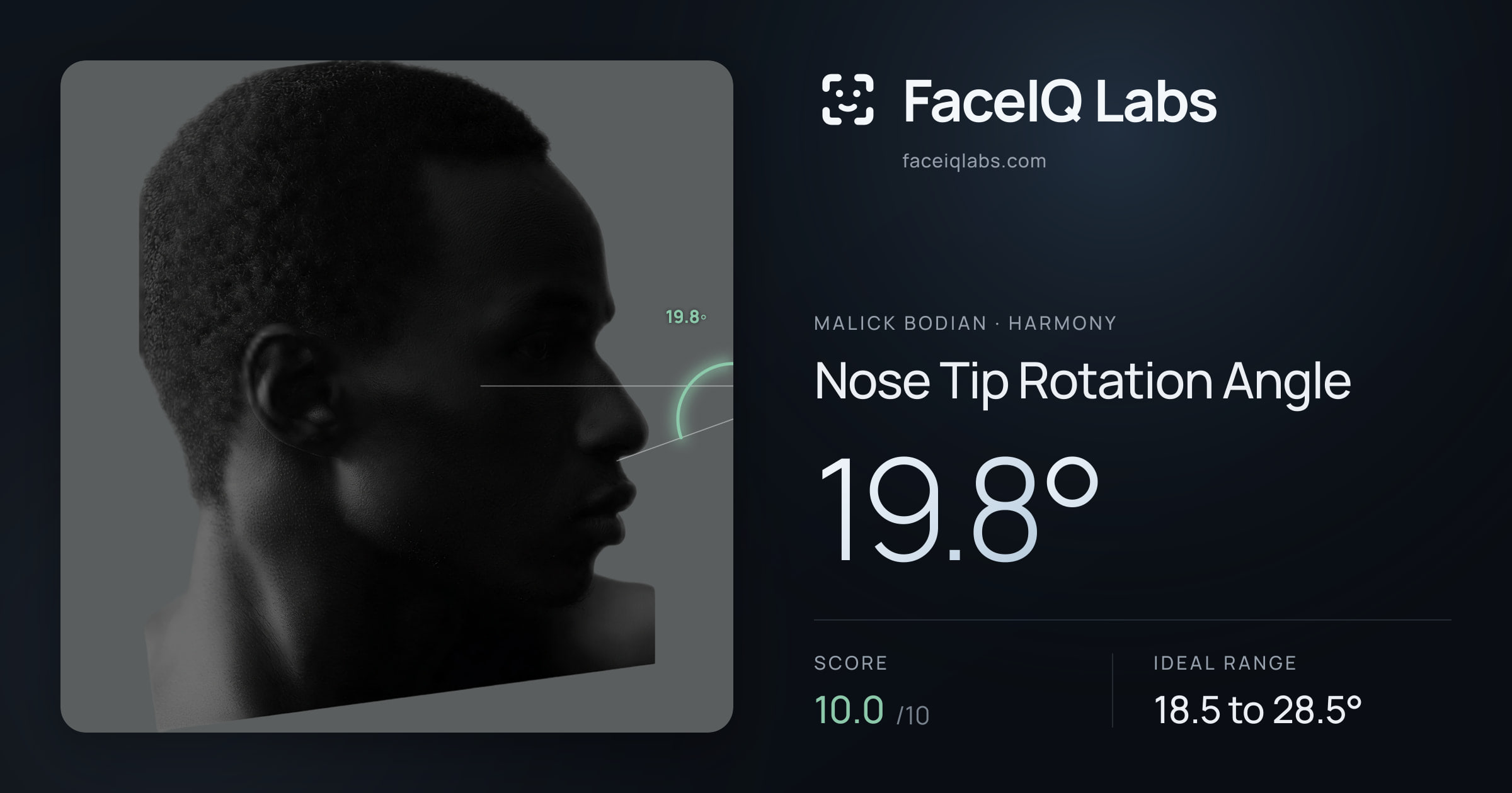 Malick Bodian Nose Tip Rotation Angle: 19.8°, drawn on the photo