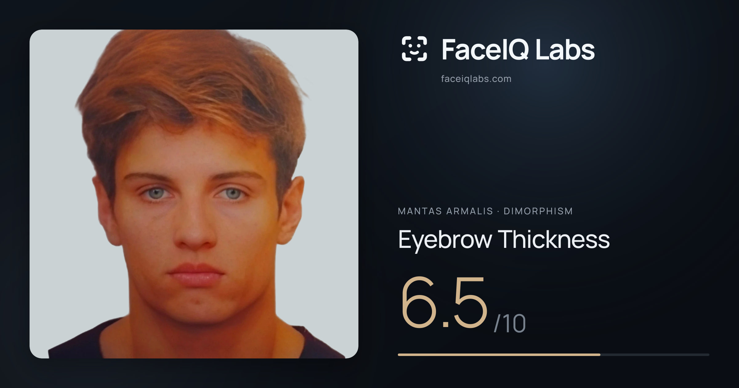 Mantas Armalis Eyebrow Thickness: 6.5/10, drawn on the photo